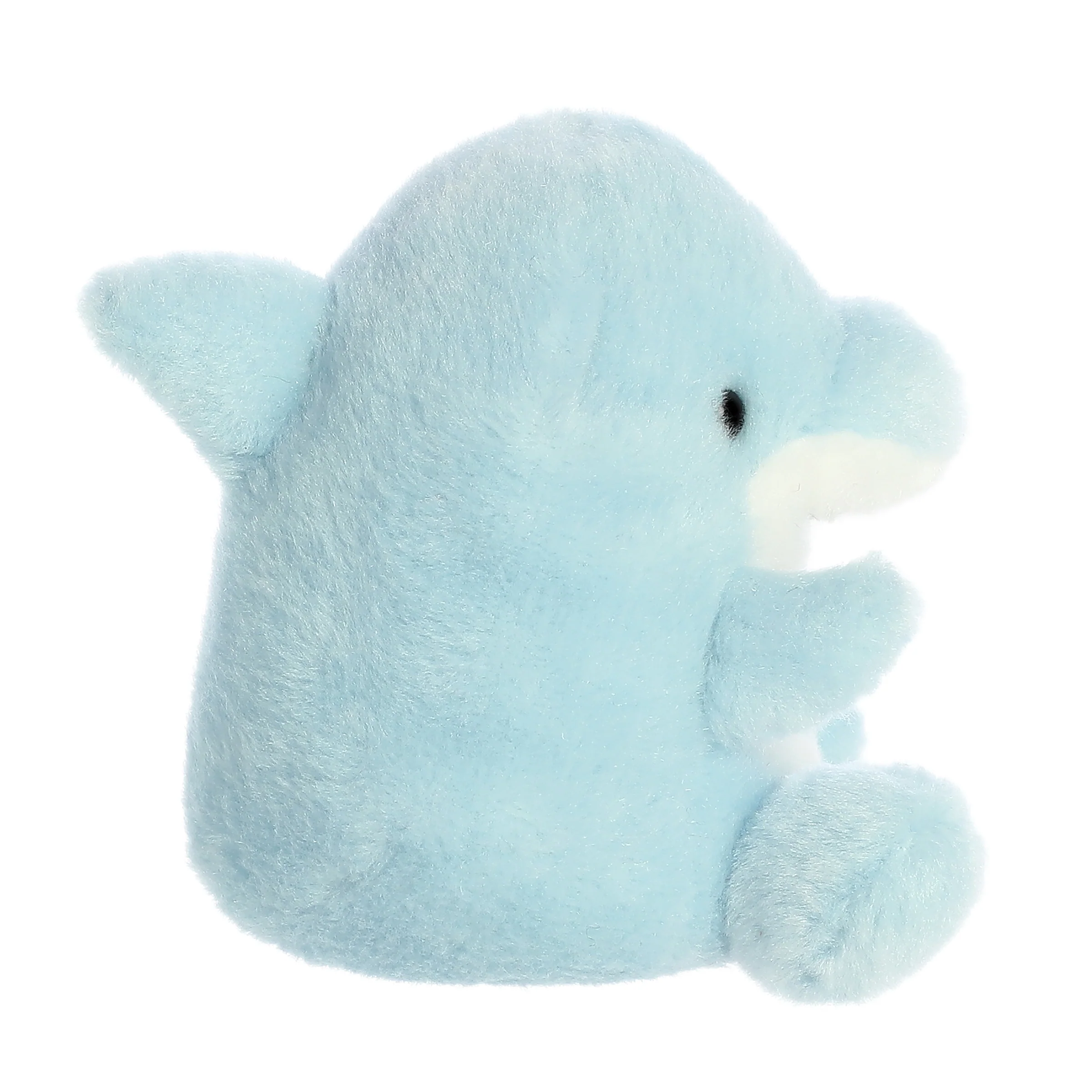 11-clicks-dolphin–1.webp