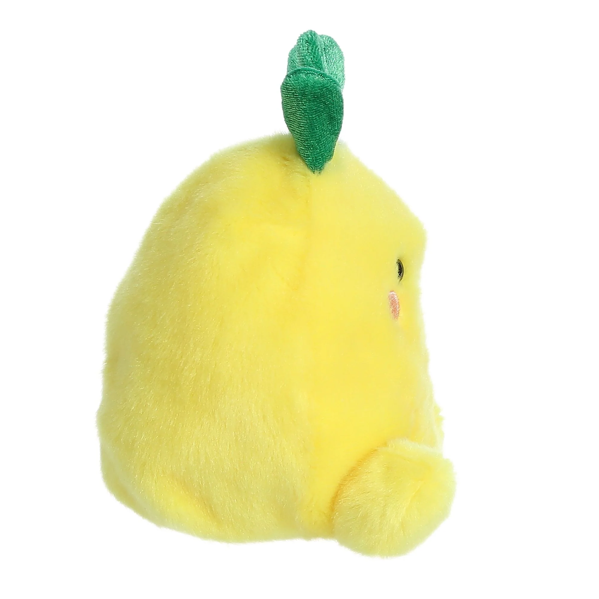 112-perky-pineapple–1.webp