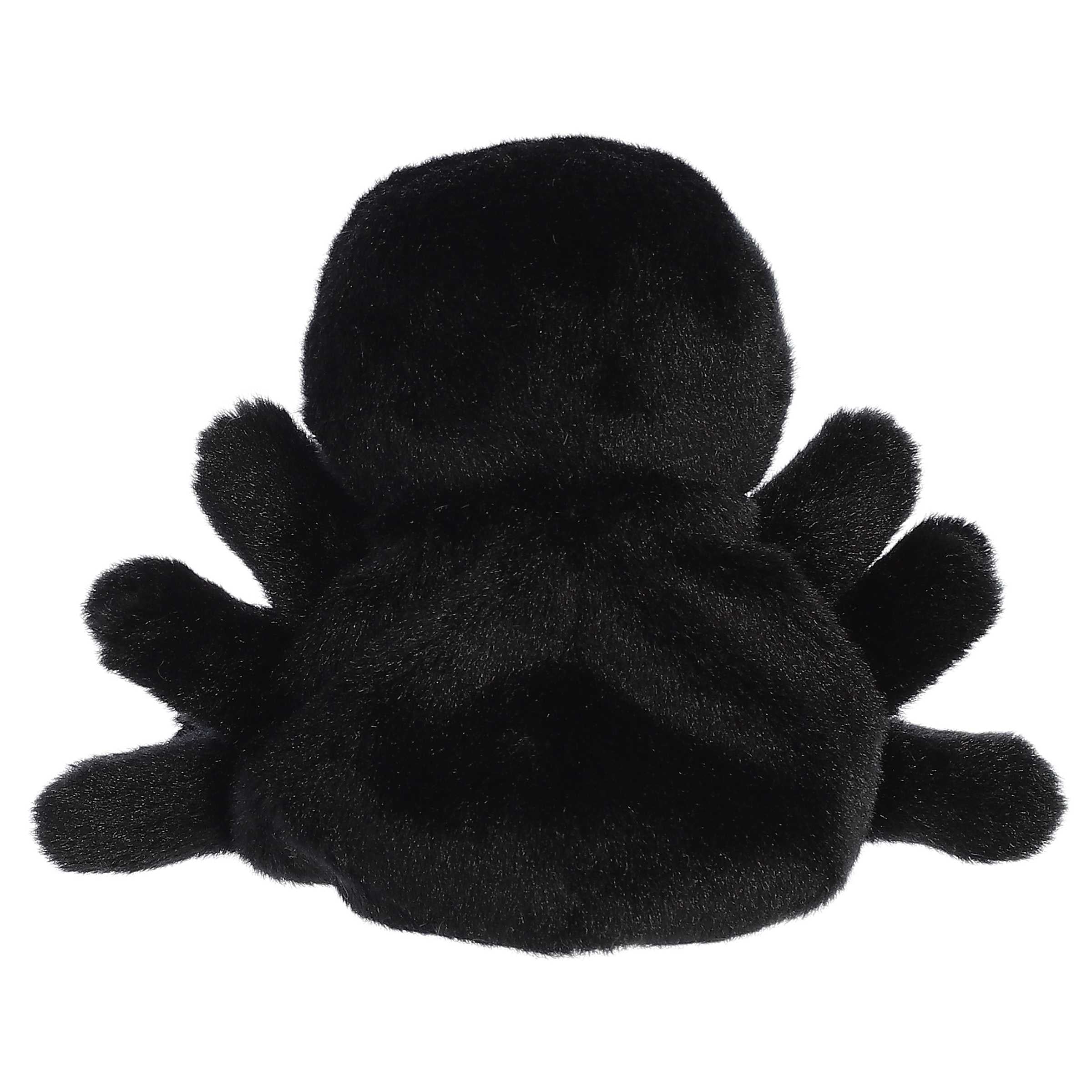 122-penny-mae-spider–1.jpg
