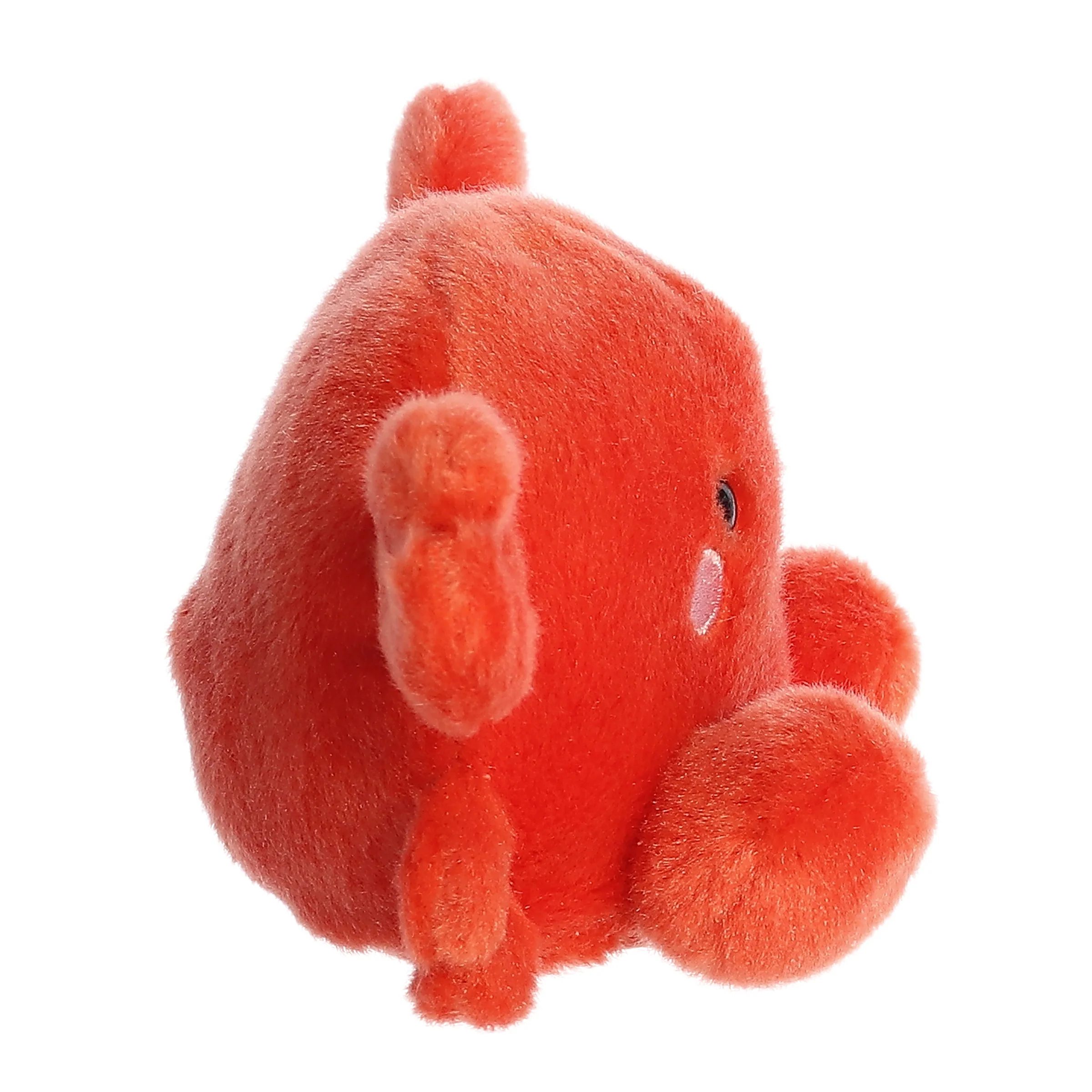 14-snippy-crab–1.webp