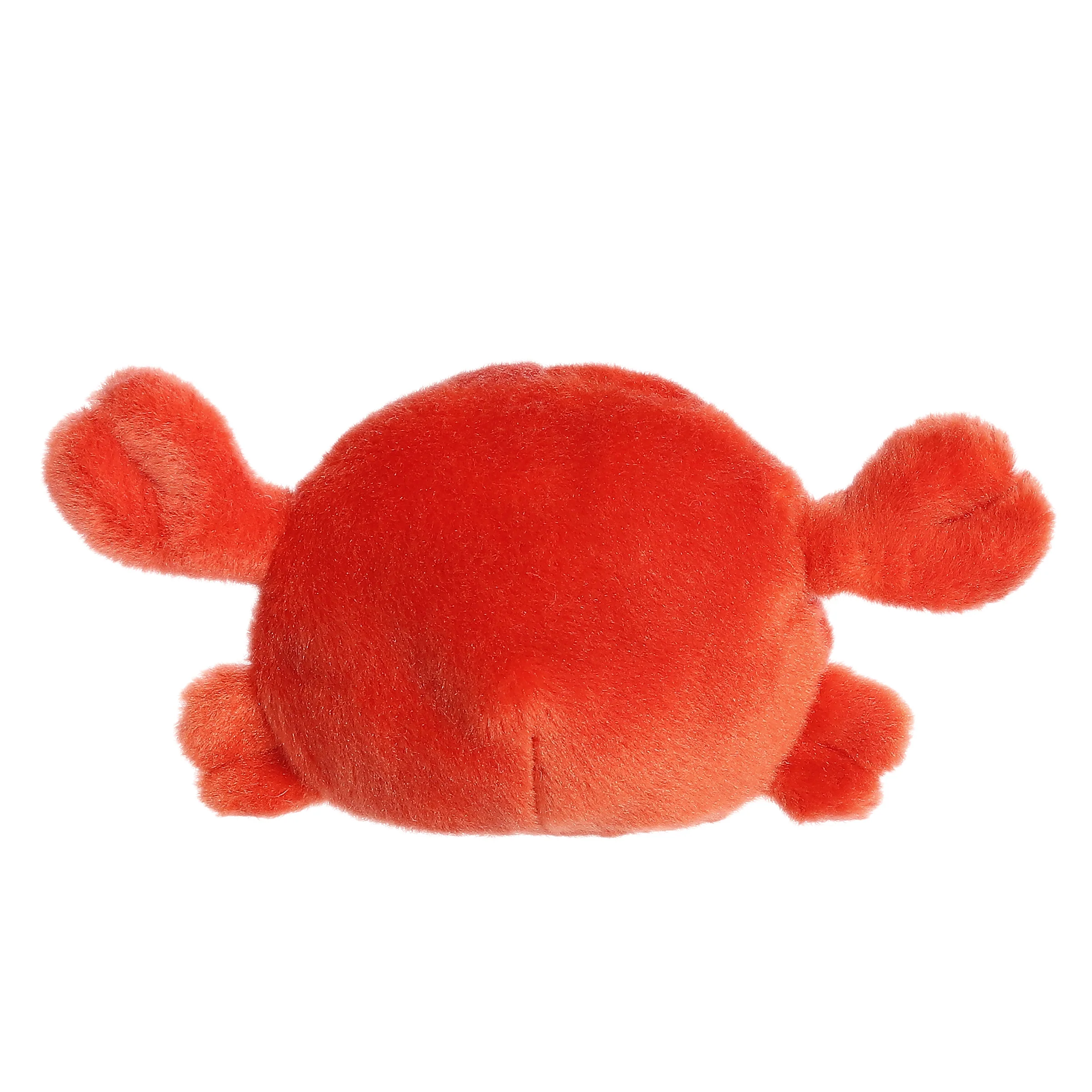 14-snippy-crab–1.webp