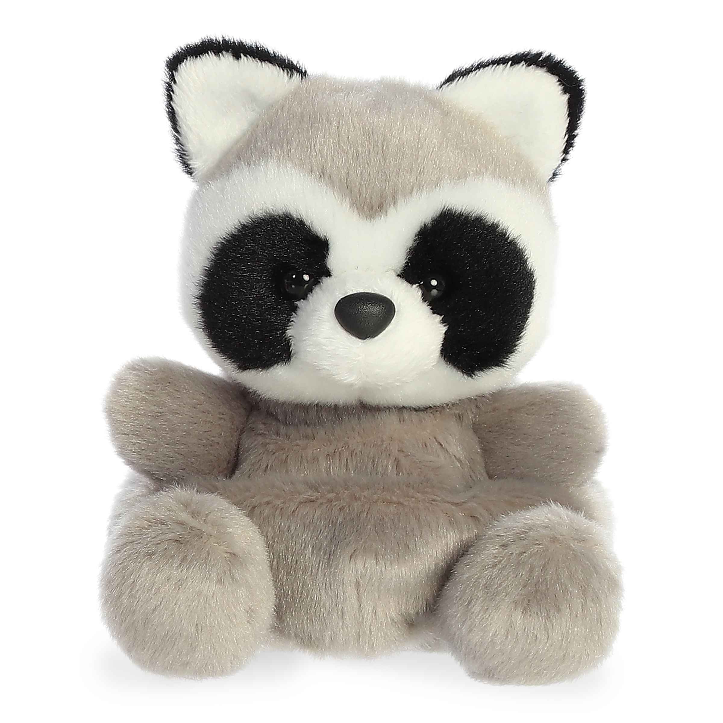 Rascal Raccoonâ¢