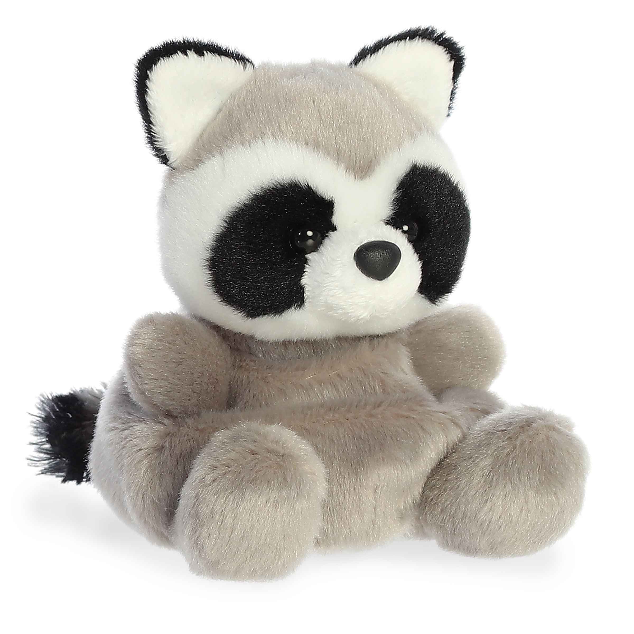 Rascal Raccoonâ¢