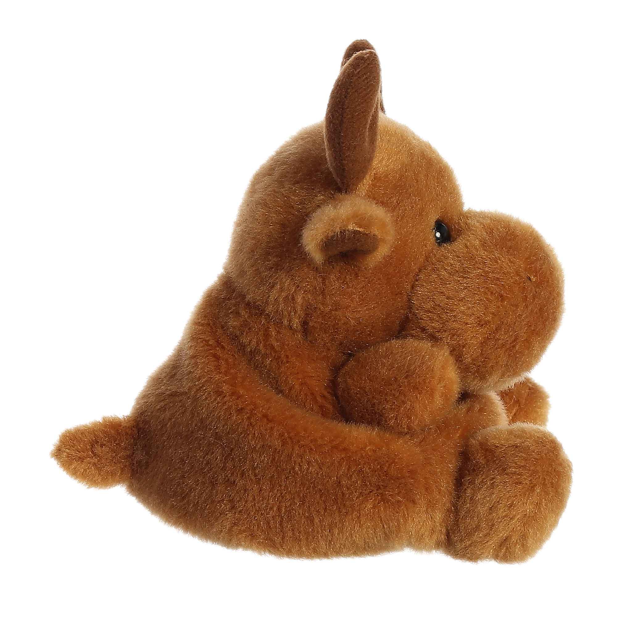 146-cinnamon-moose–1.jpg