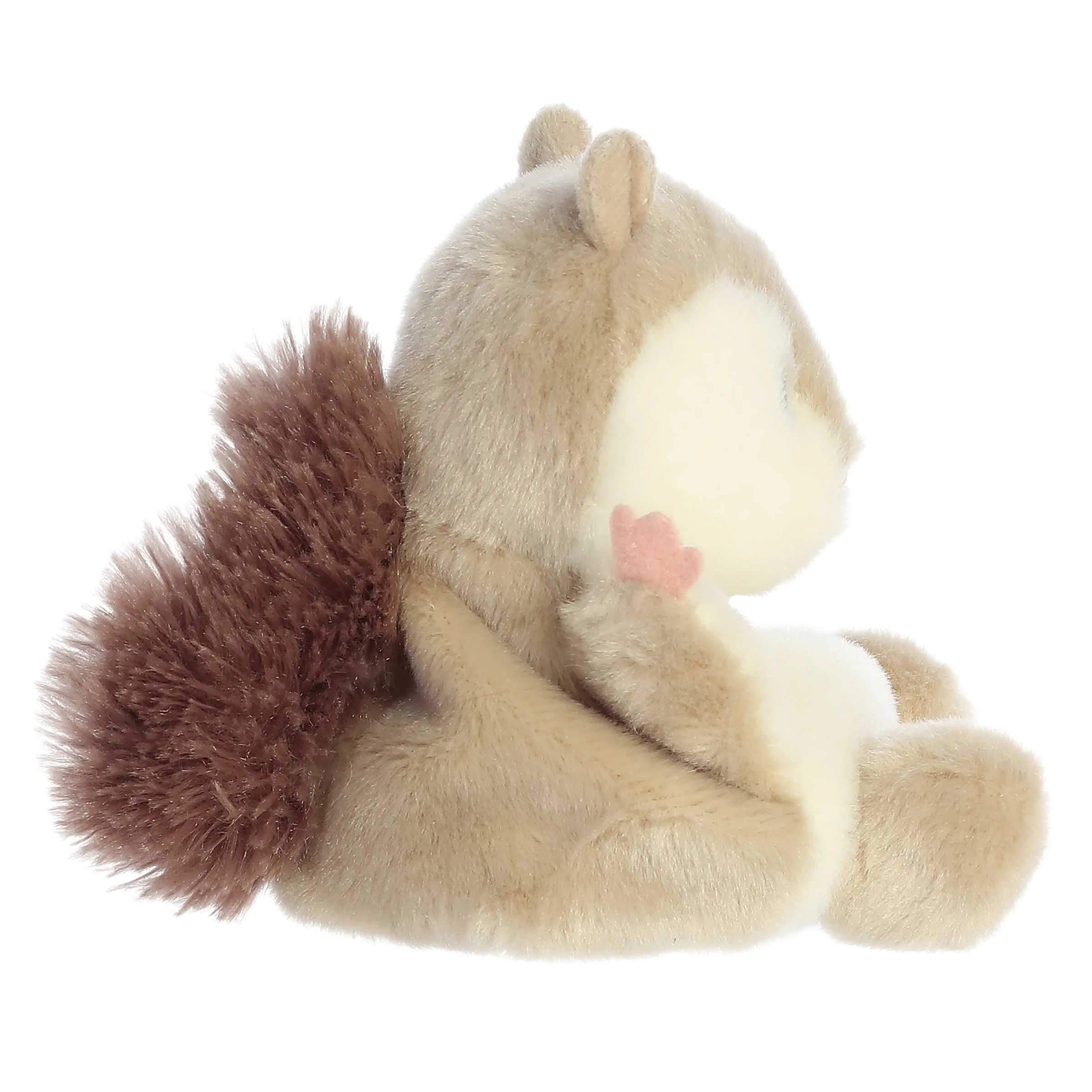 148-flaps-flying-squirrel–1.webp