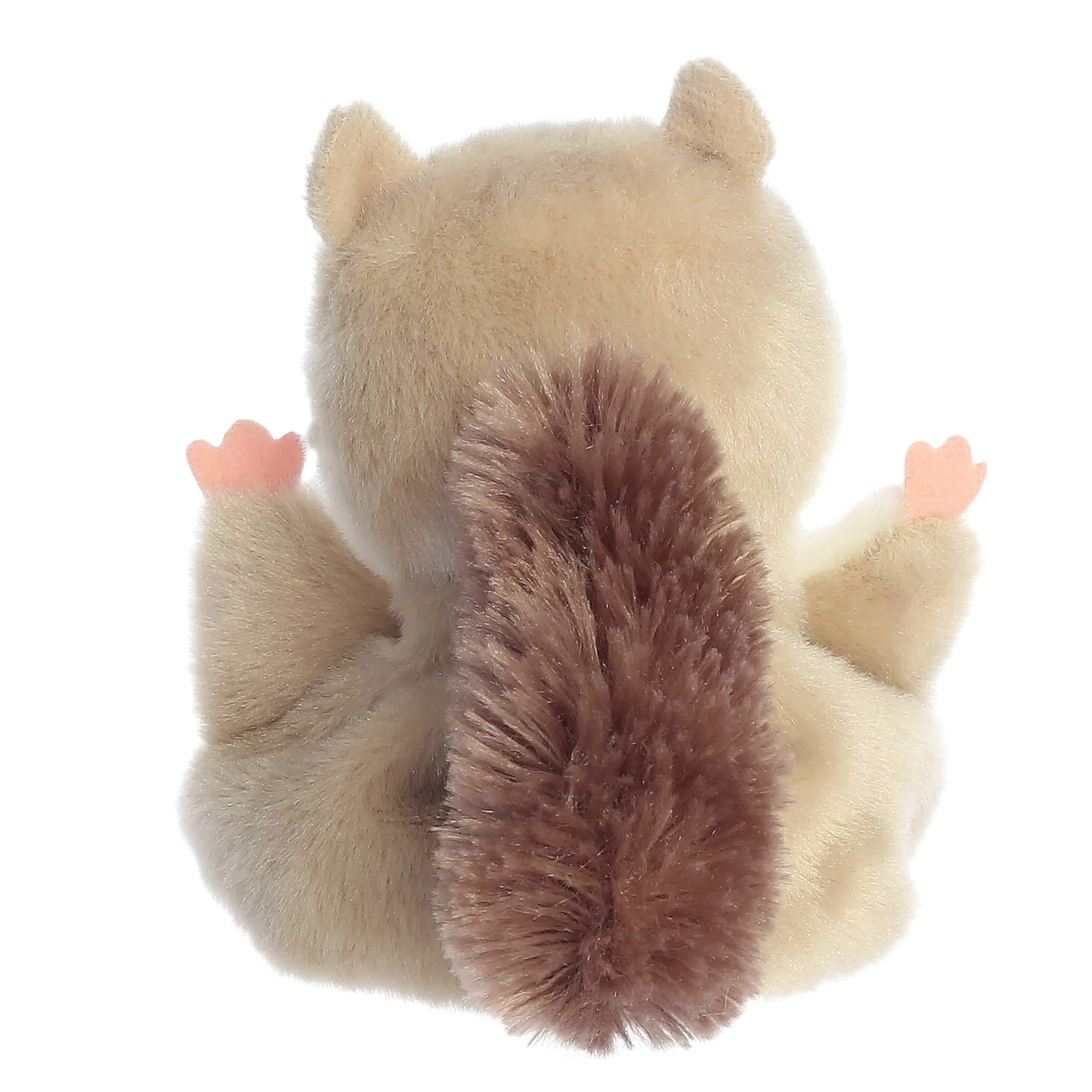 148-flaps-flying-squirrel–1.webp