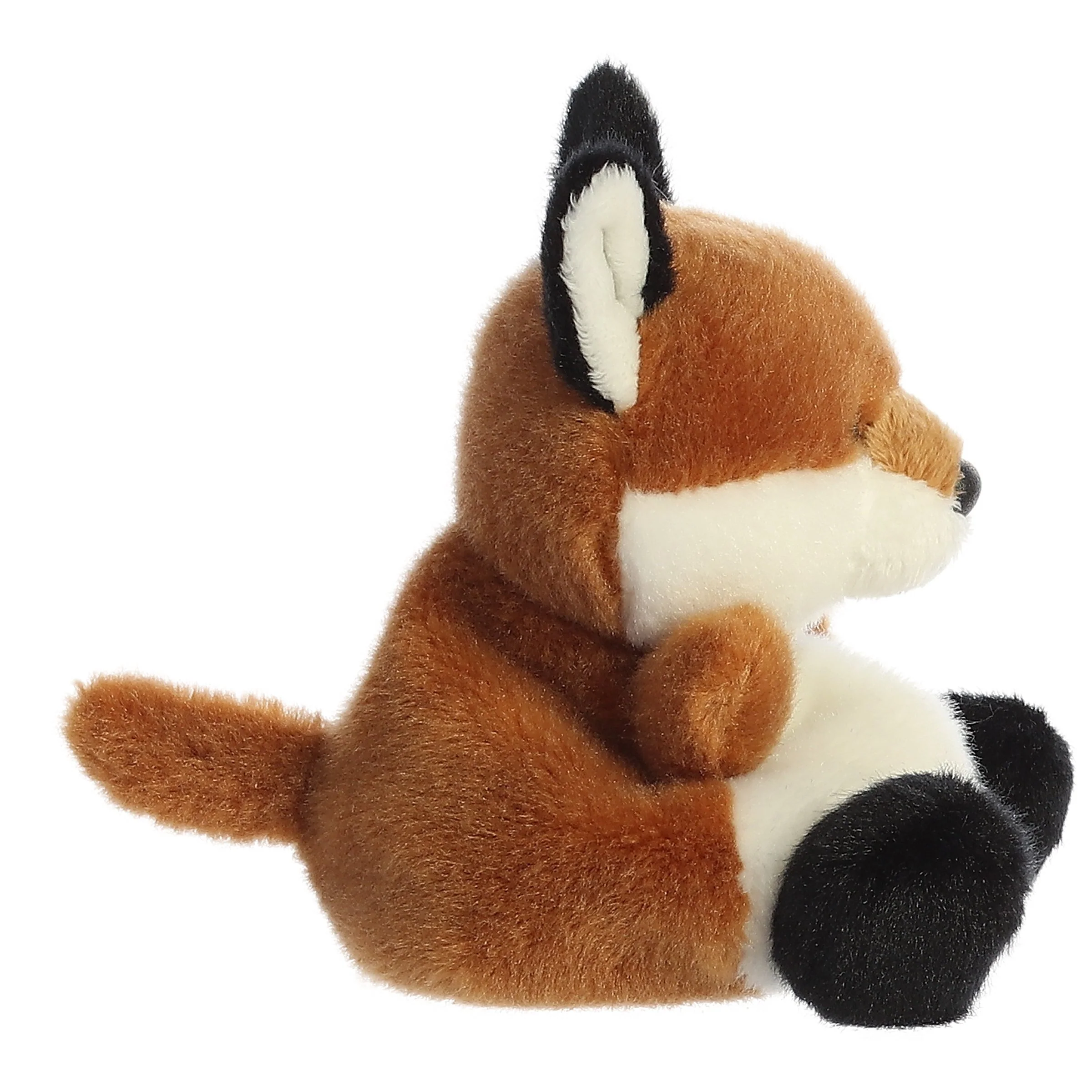 150-sly-fox–1.webp