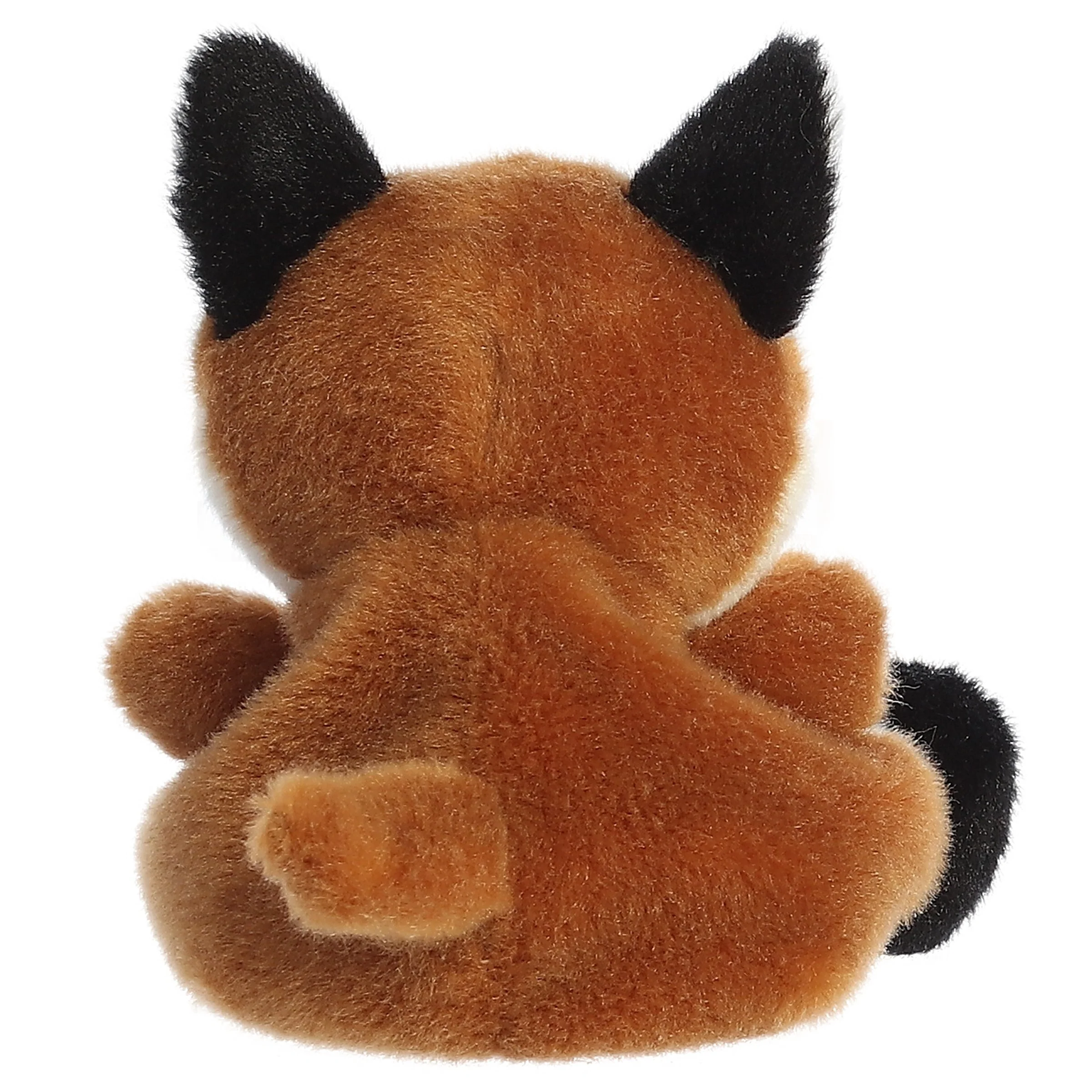 150-sly-fox–1.webp