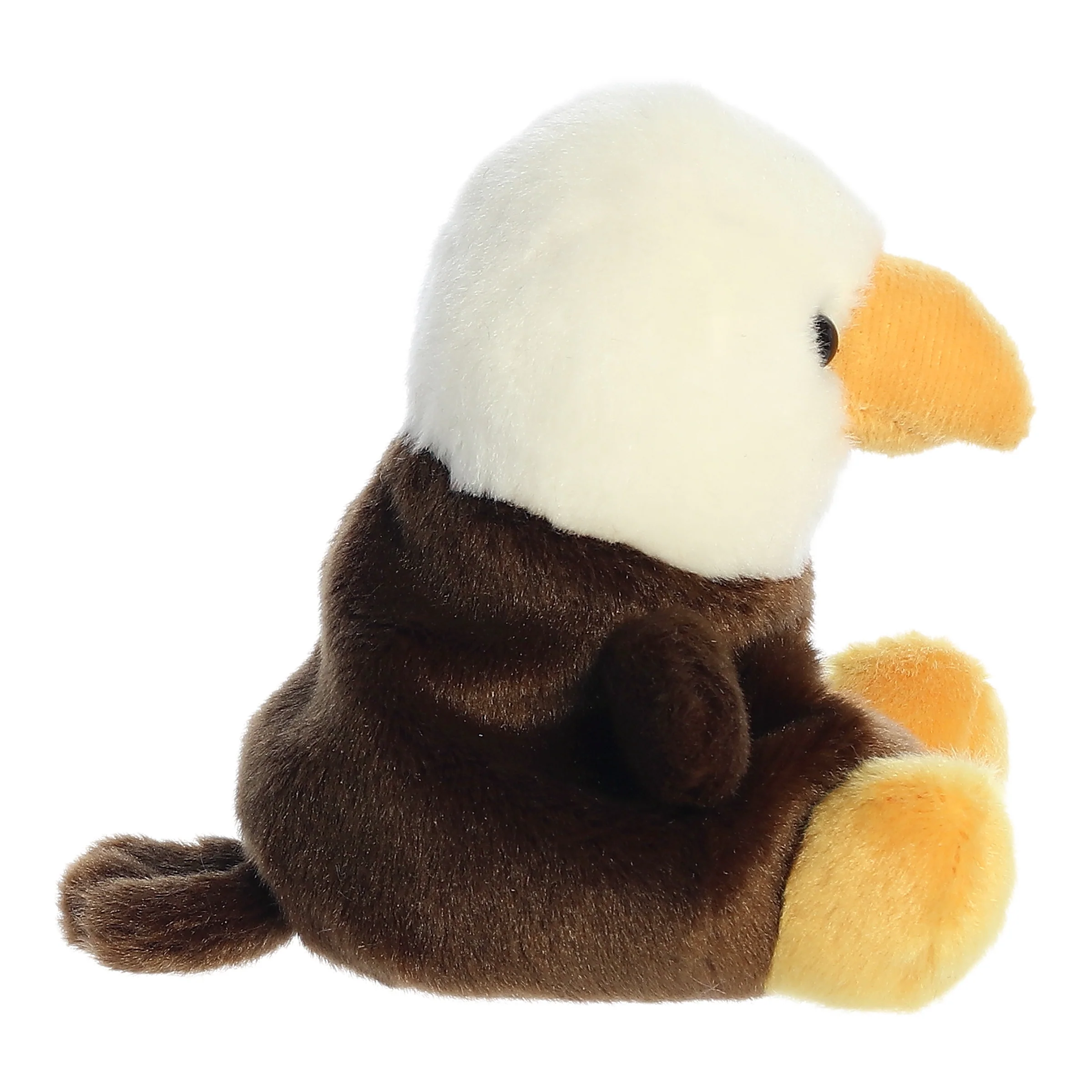 154-murphy-bald-eagle–1.webp