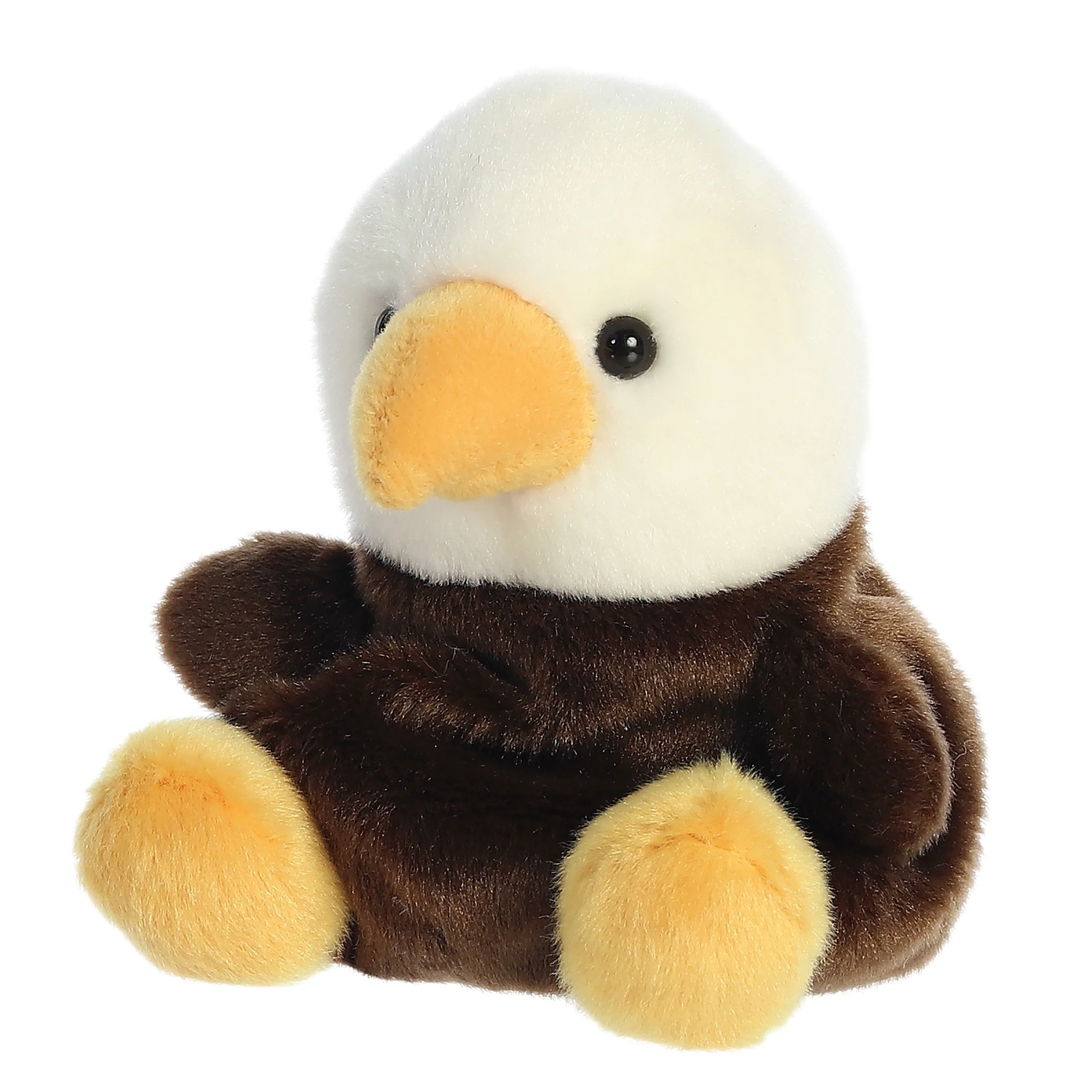 154-murphy-bald-eagle–1.webp
