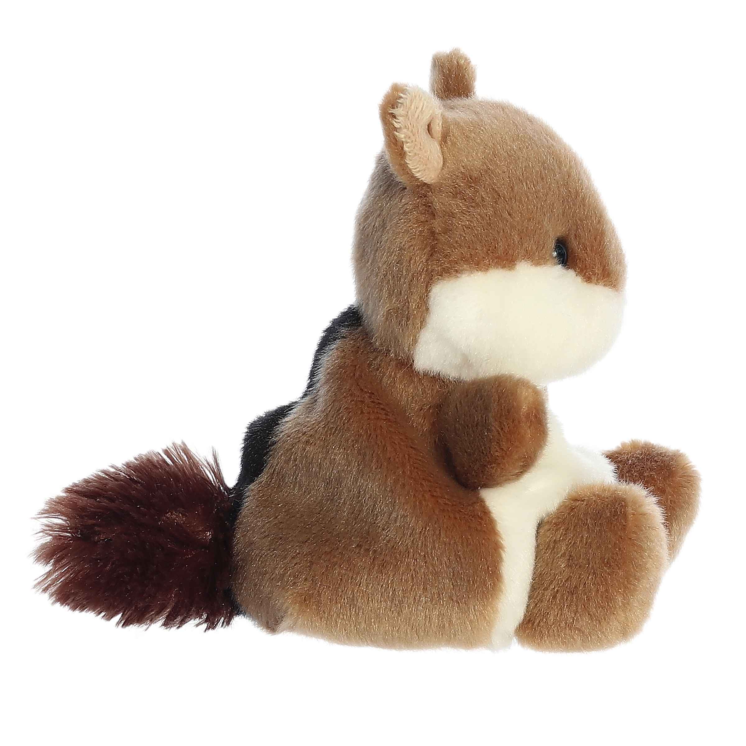 155-chestnut-chipmunk–1.jpg