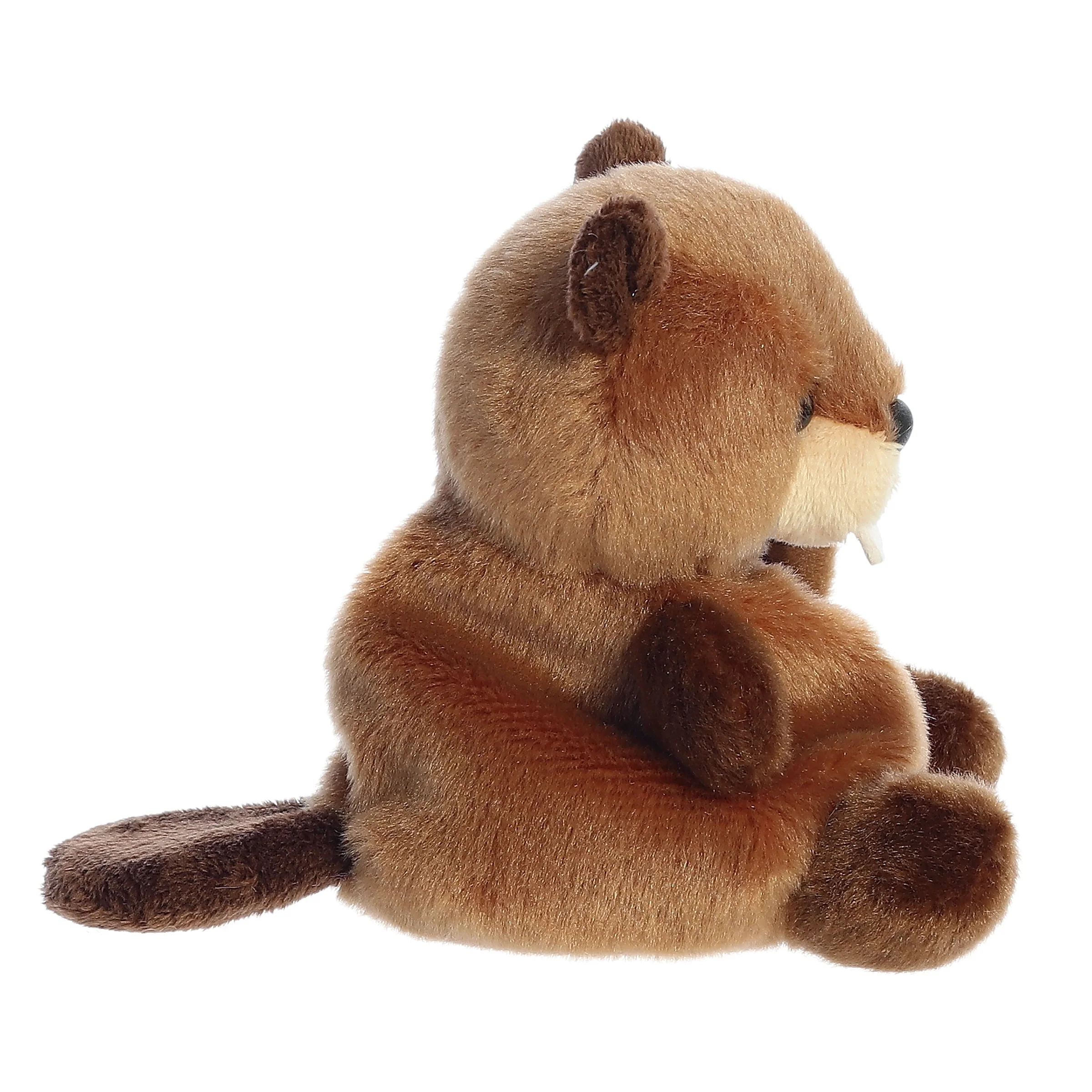 160-chewy-beaver–1.webp