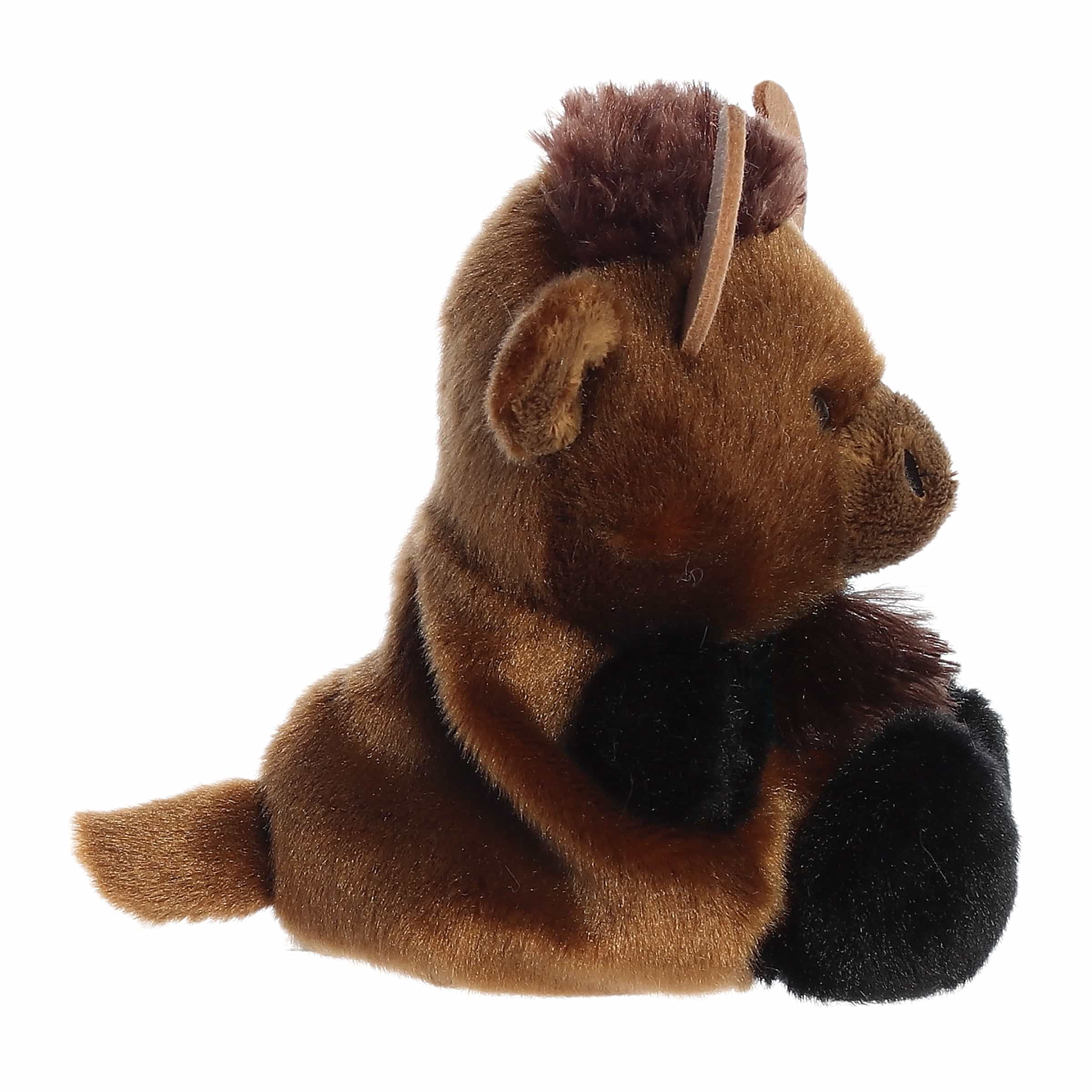 162-billy-bison–1.jpg