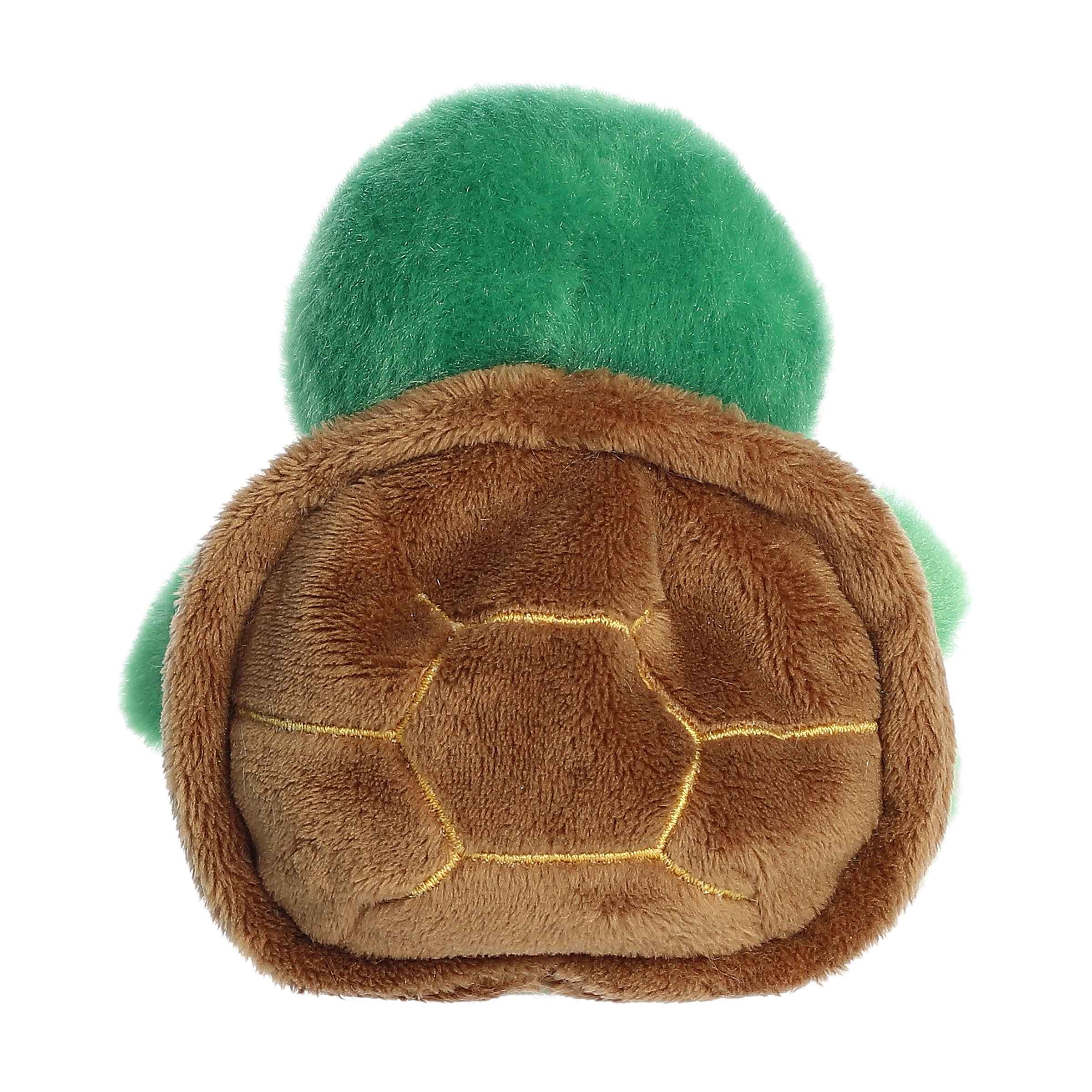 17-honu-sea-turtle–1.jpg