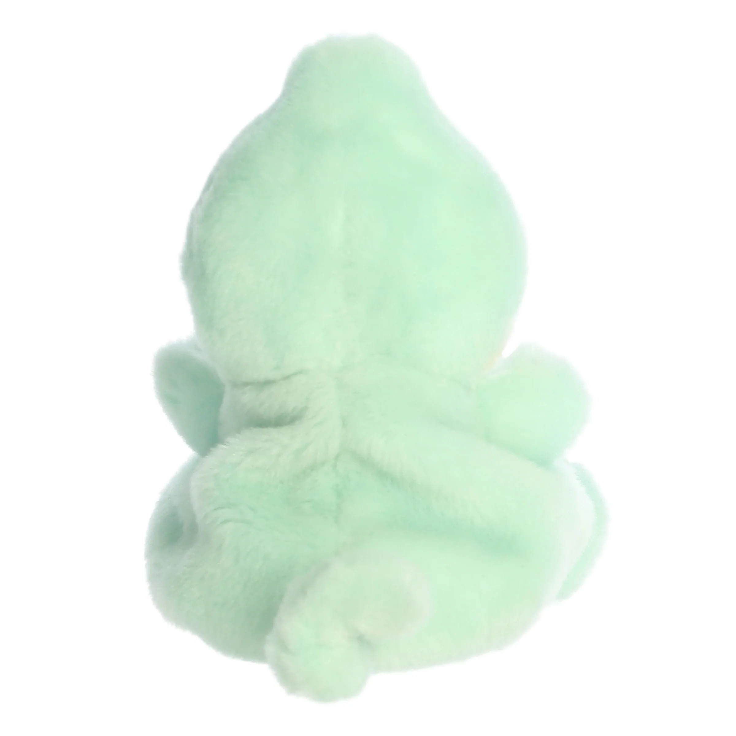 178-change-chameleon–1.webp