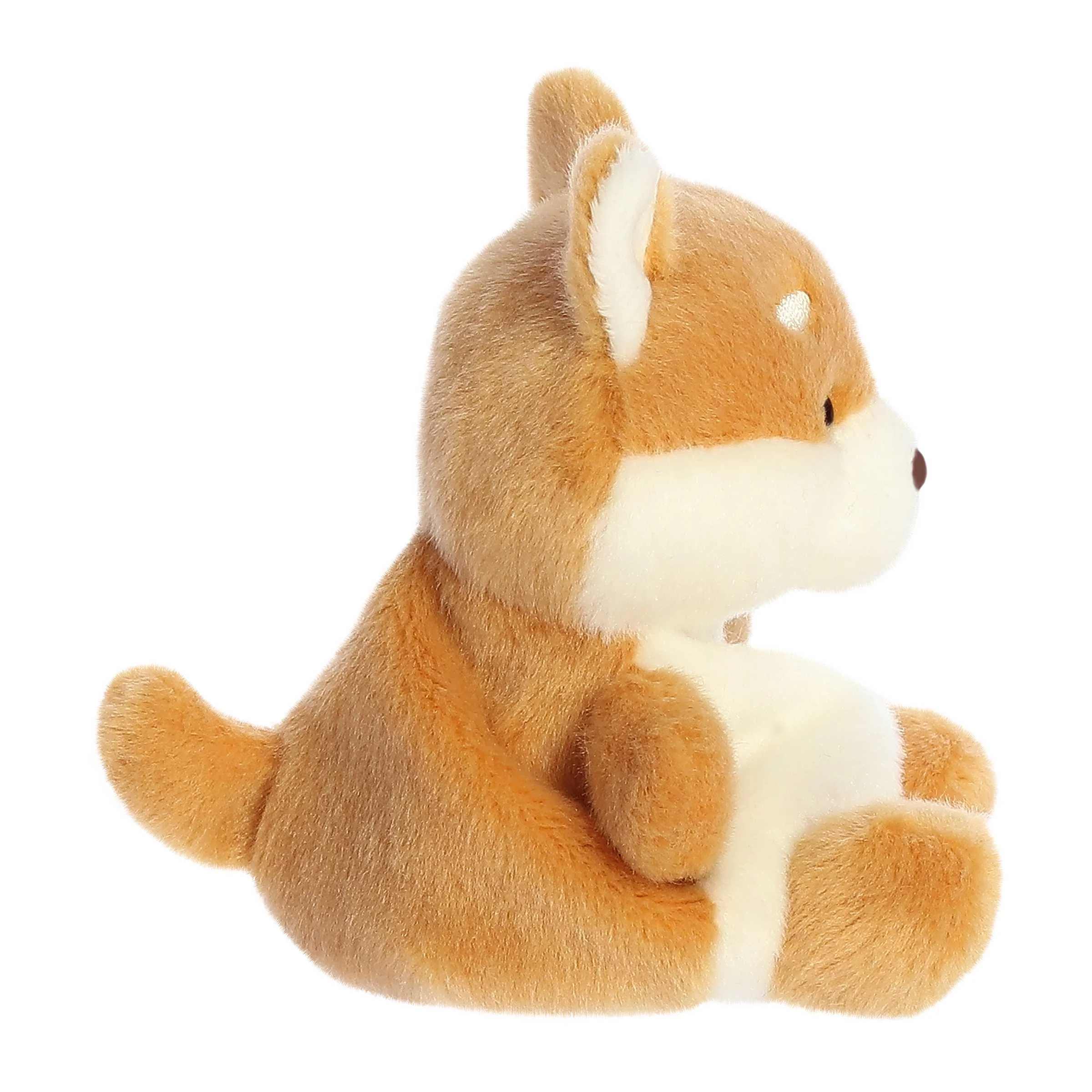 184-keiko-shiba-inu–1.jpg