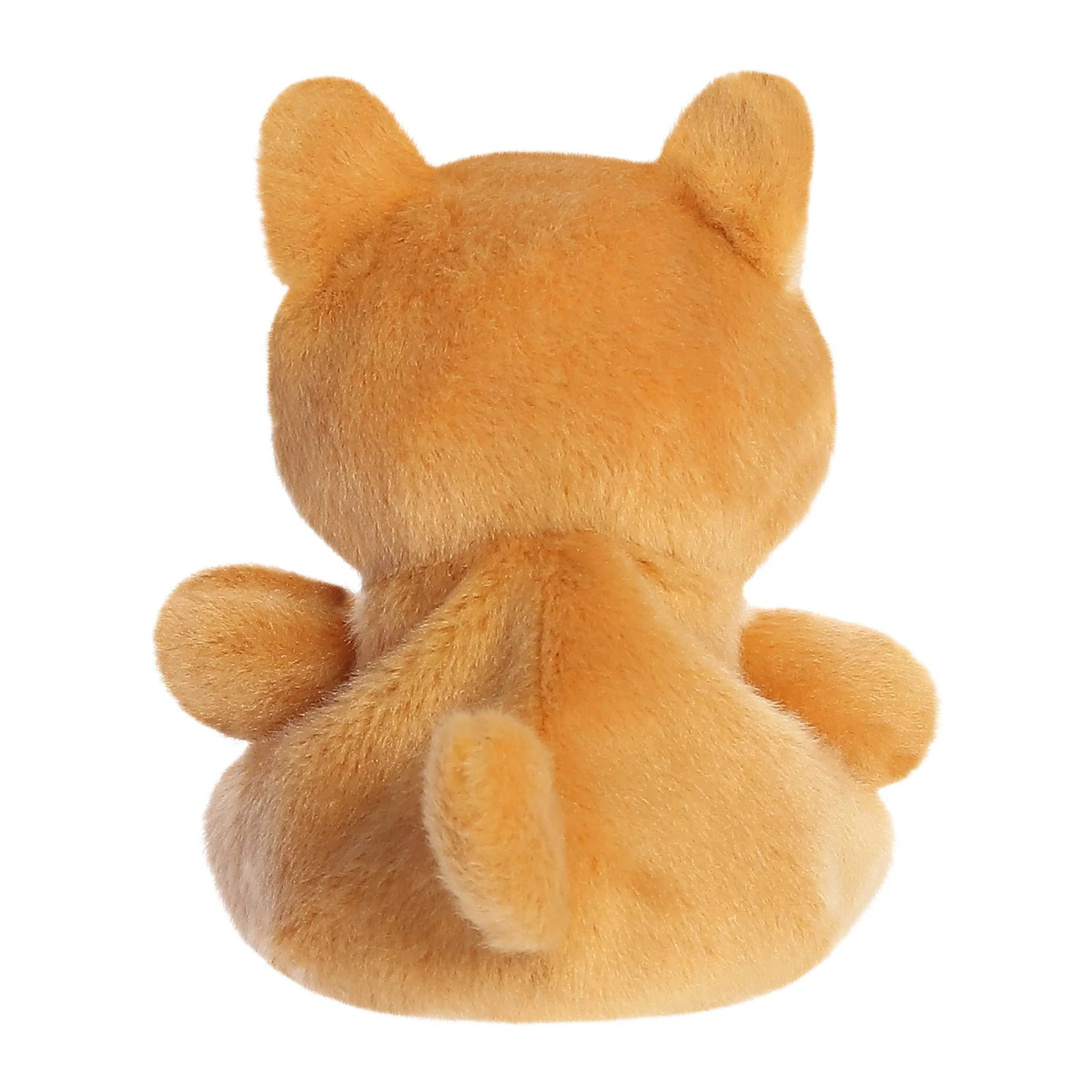 184-keiko-shiba-inu–1.jpg