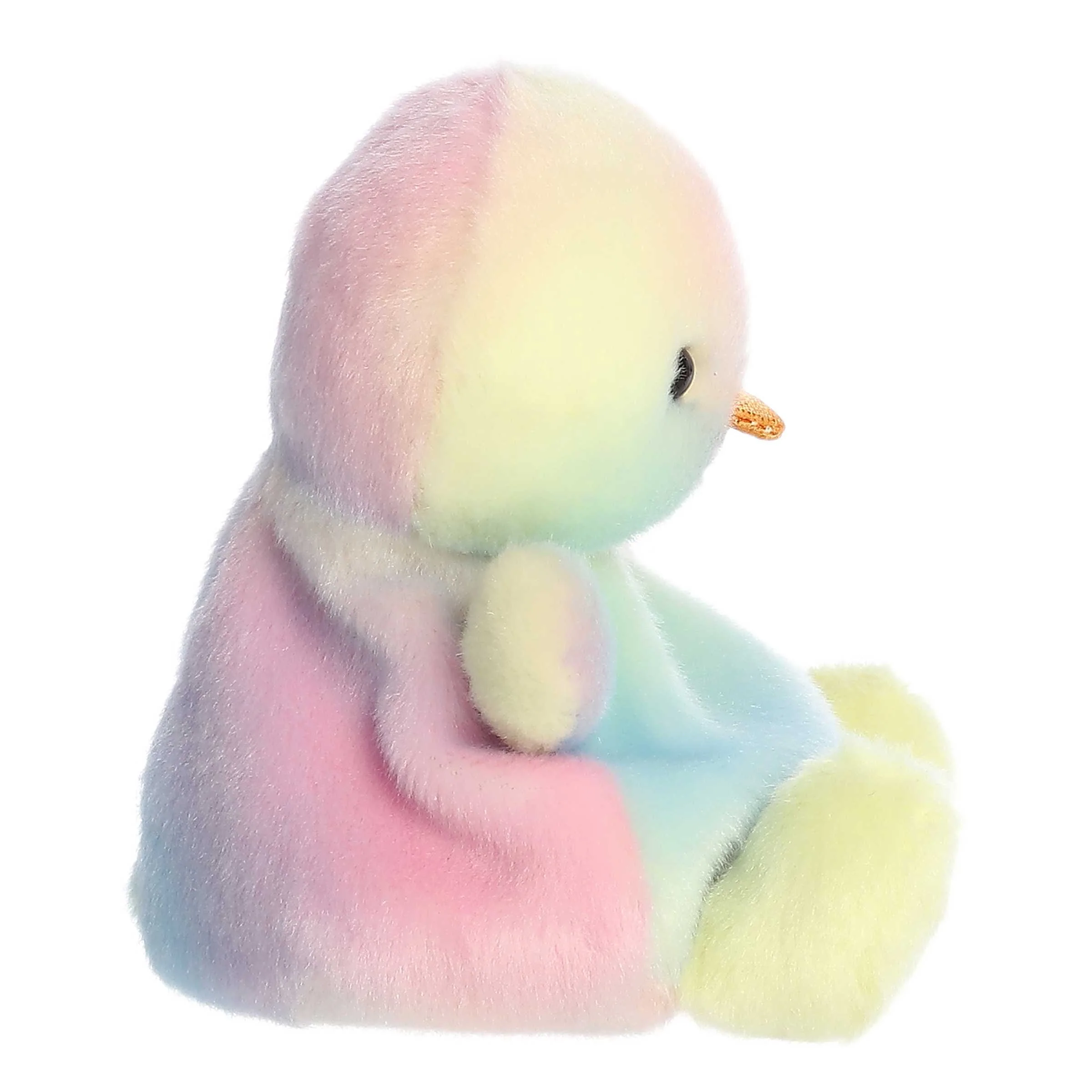 190-aura-rainbow-chick–1.jpg