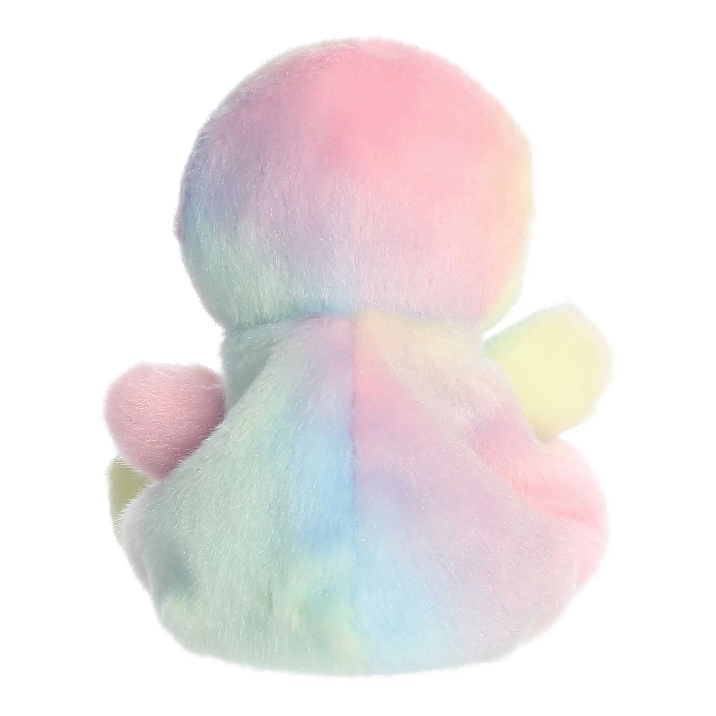 190-aura-rainbow-chick–1.jpg