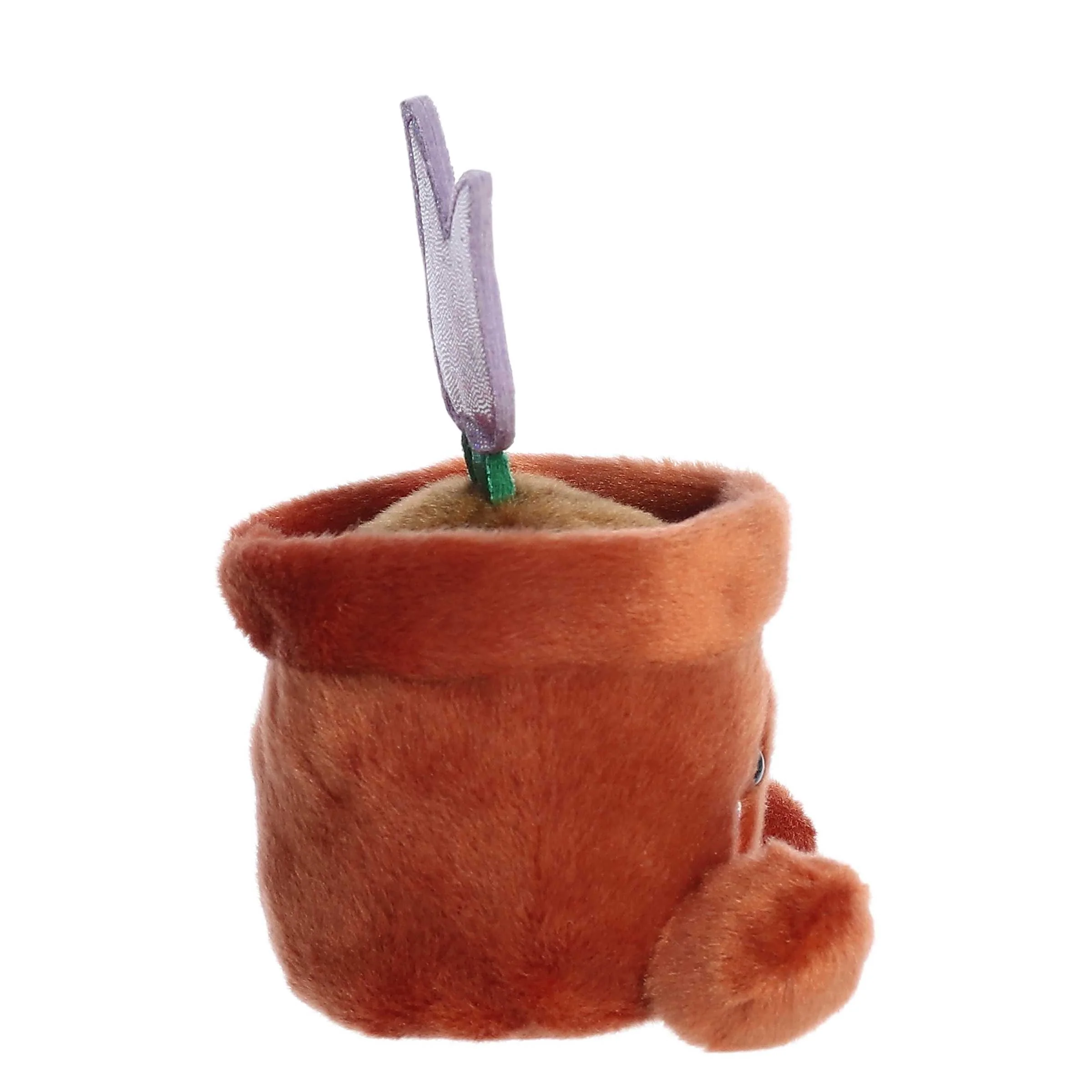 198-holland-potted-tulip–1.jpg