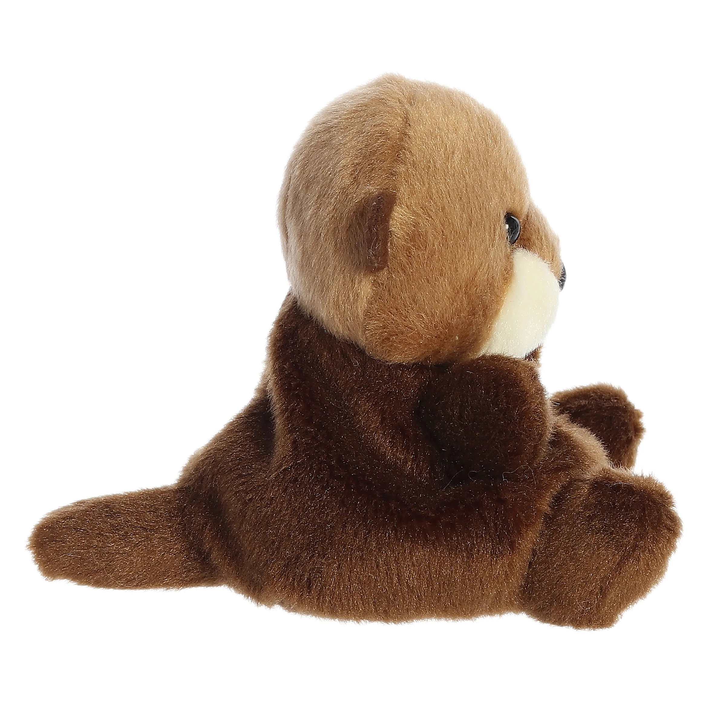 2-selena-sea-otter–1.webp