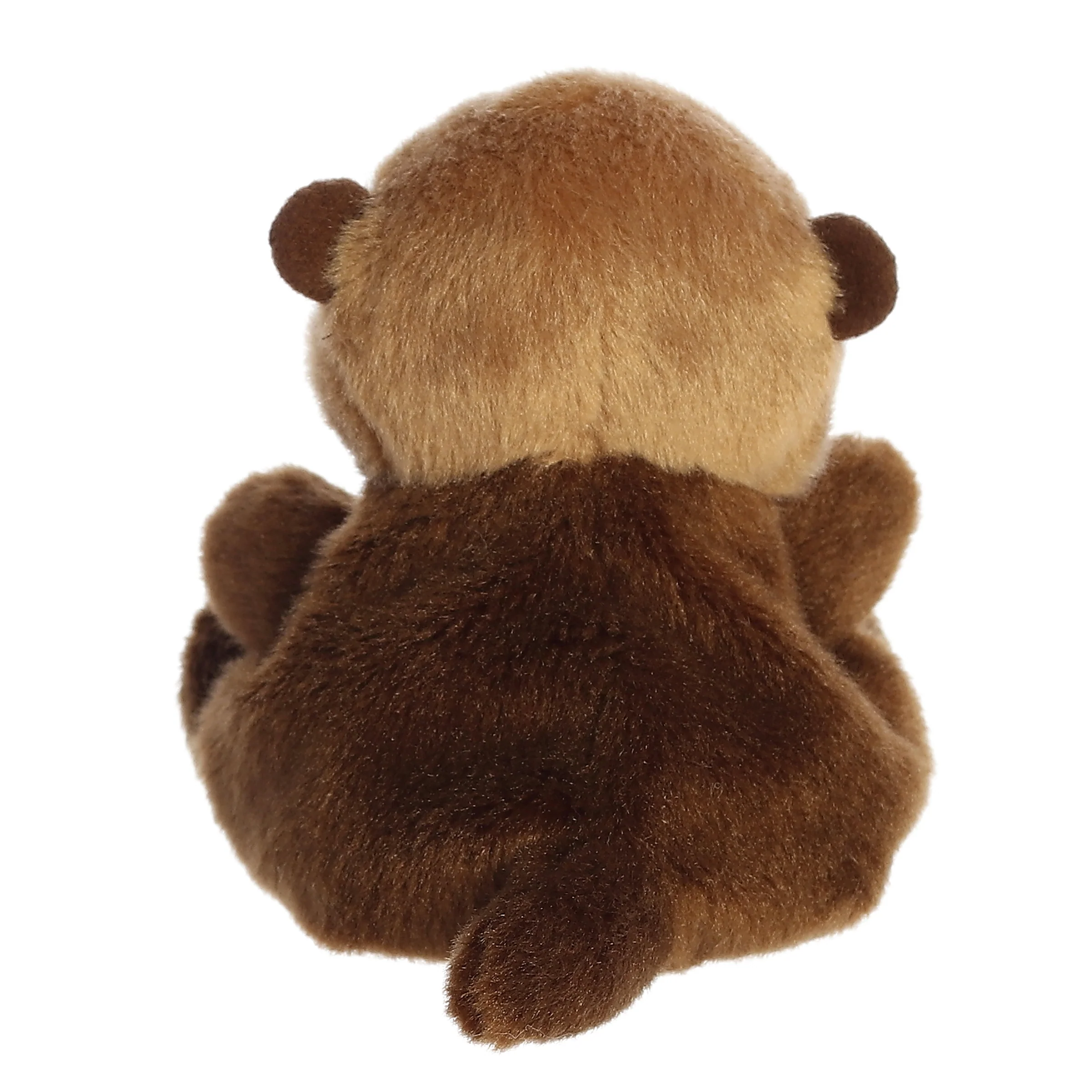 2-selena-sea-otter–1.webp