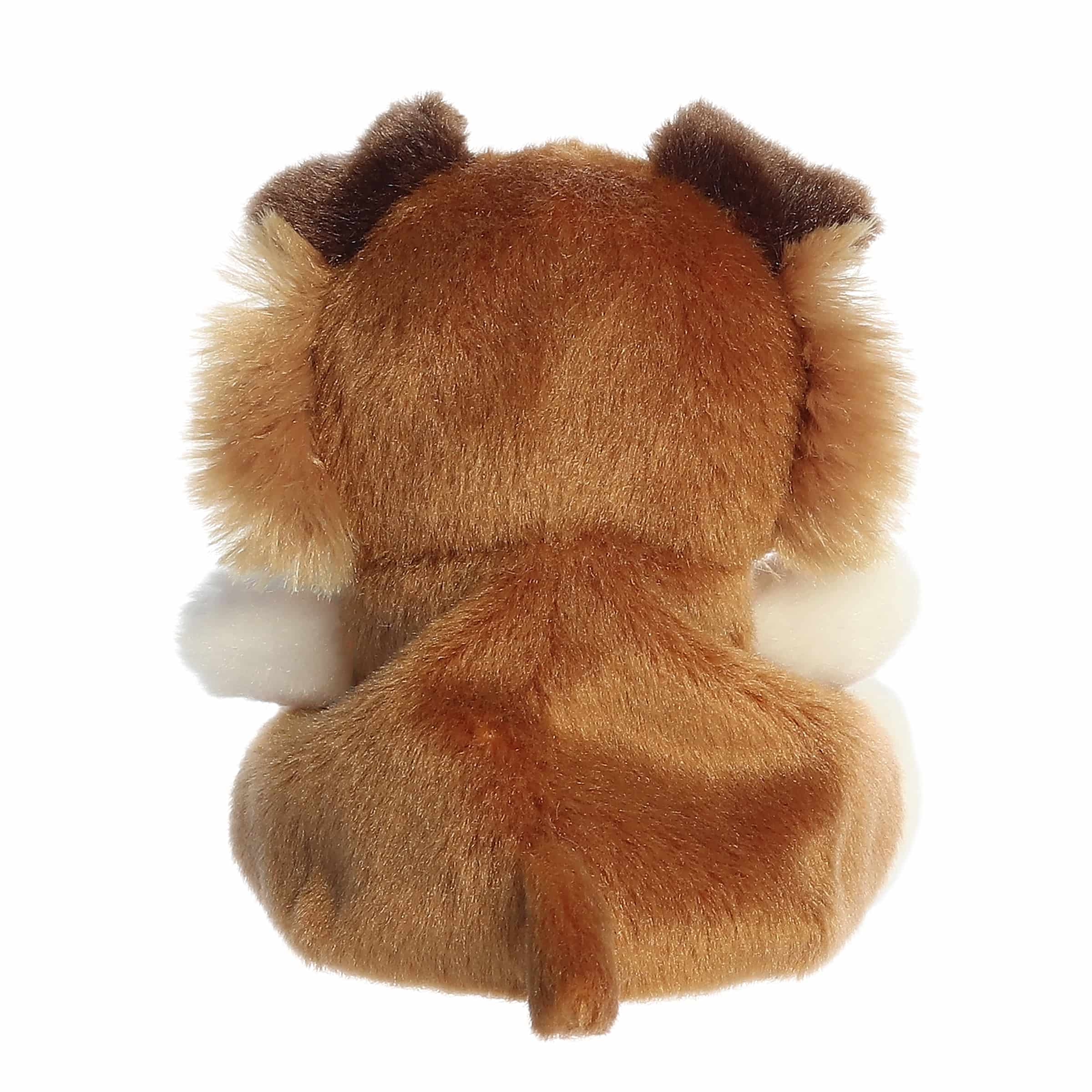 207-fia-sheltie–1.jpg