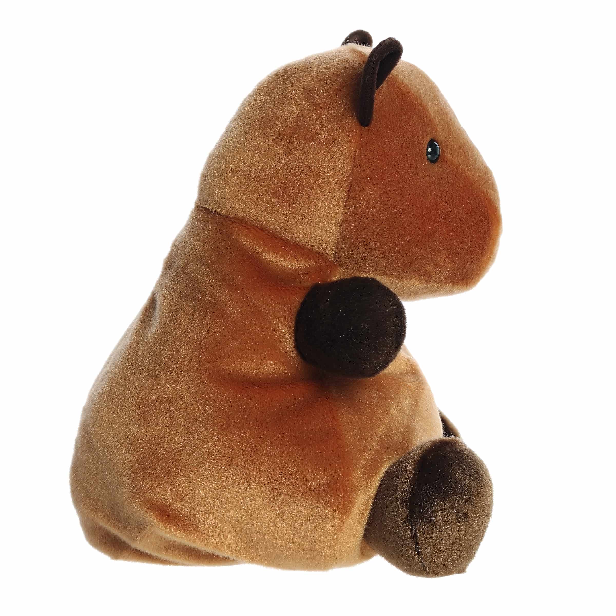 227-13-sid-capybara–1.jpg