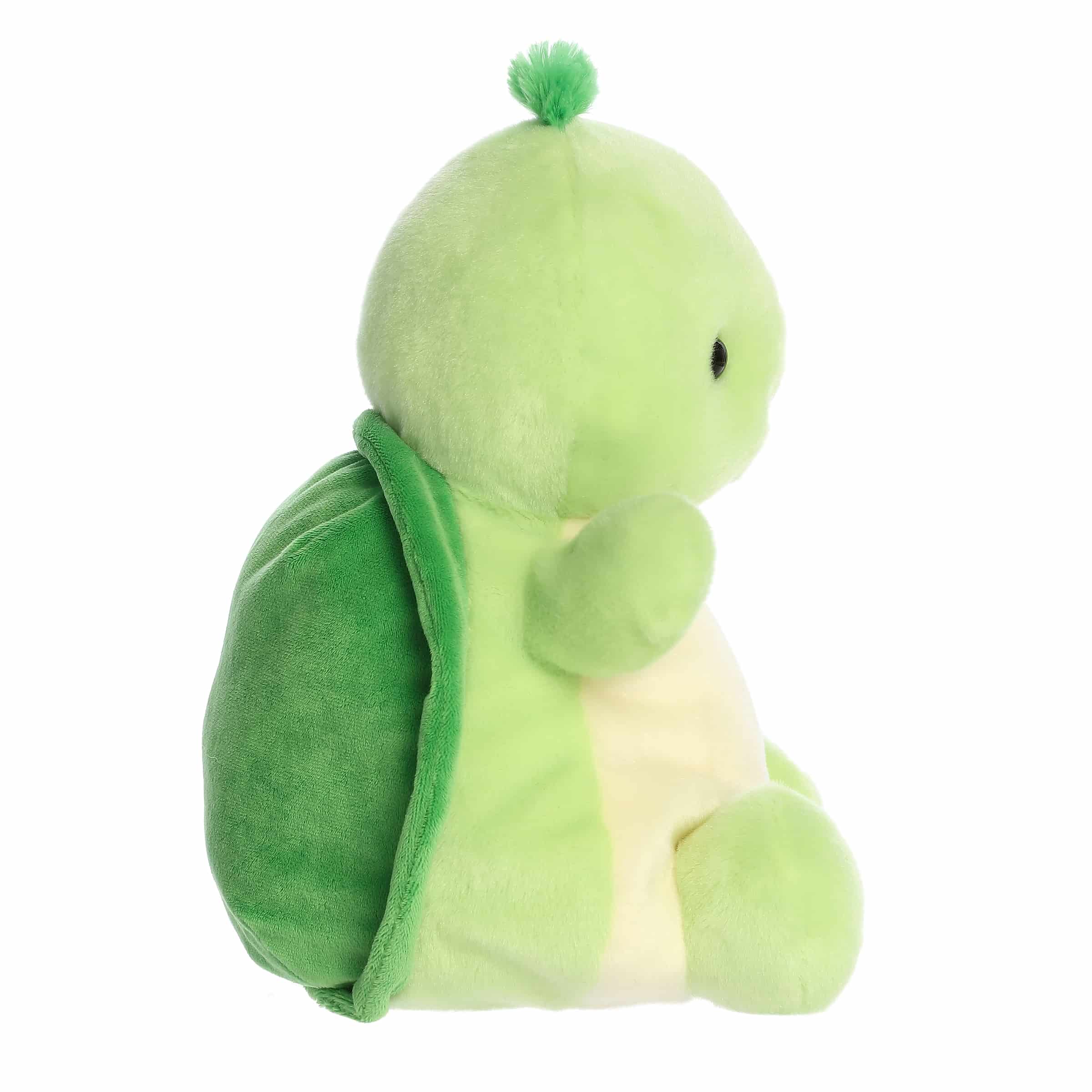228-13-tiny-turtle–1.jpg