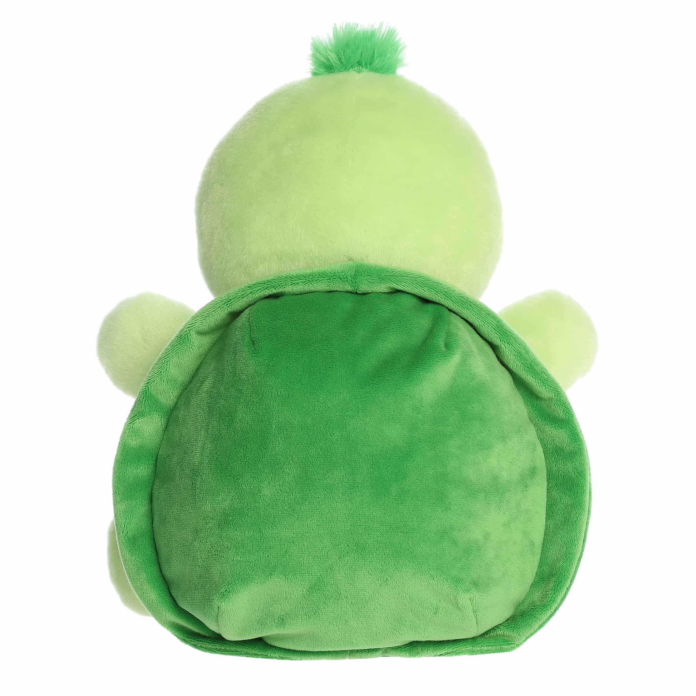 228-13-tiny-turtle–1.jpg