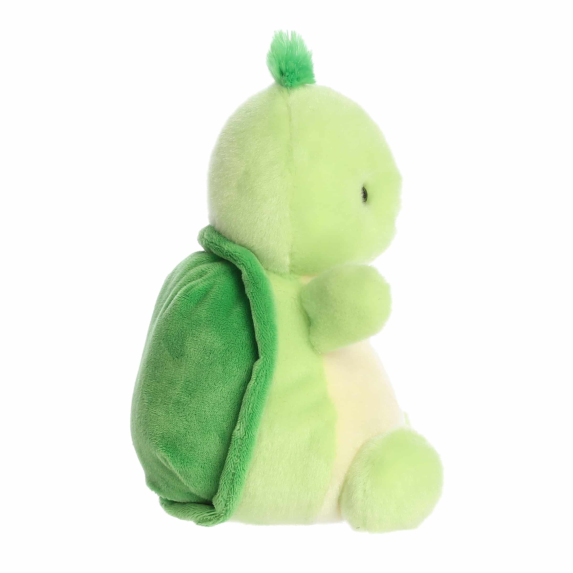 231-8-tiny-turtle–1.jpg