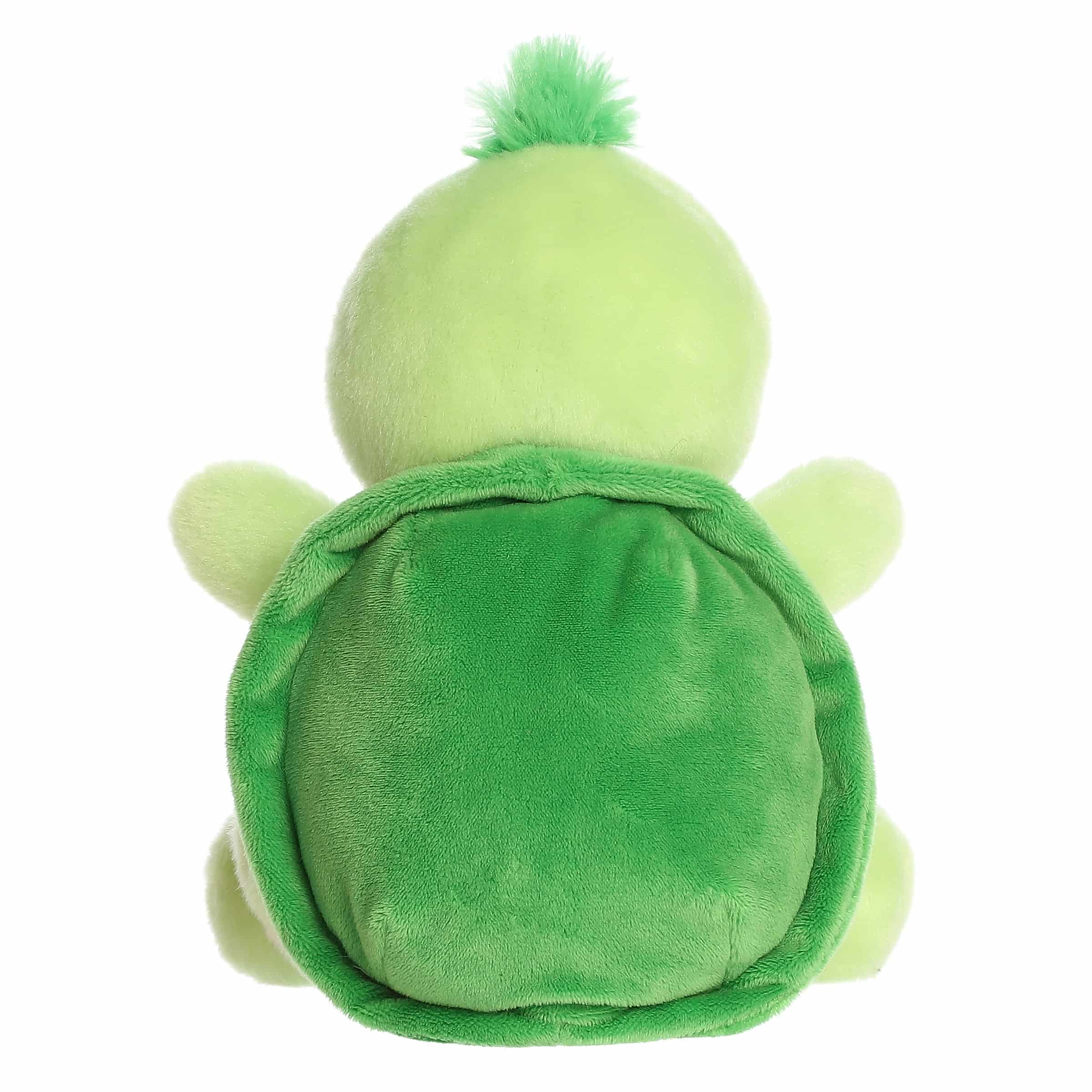 231-8-tiny-turtle–1.jpg