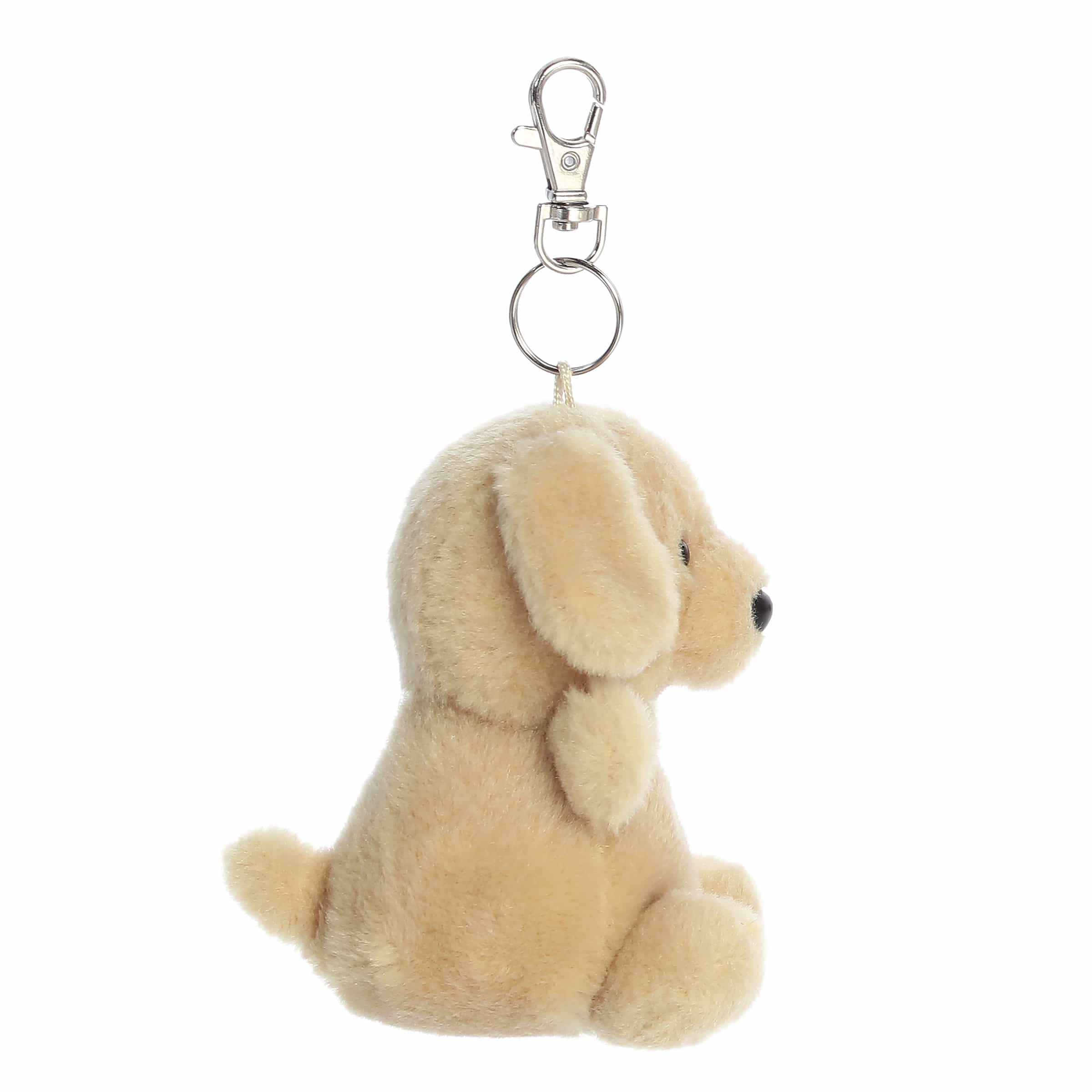 255-4-sunny-lab-clip-on-1.jpg