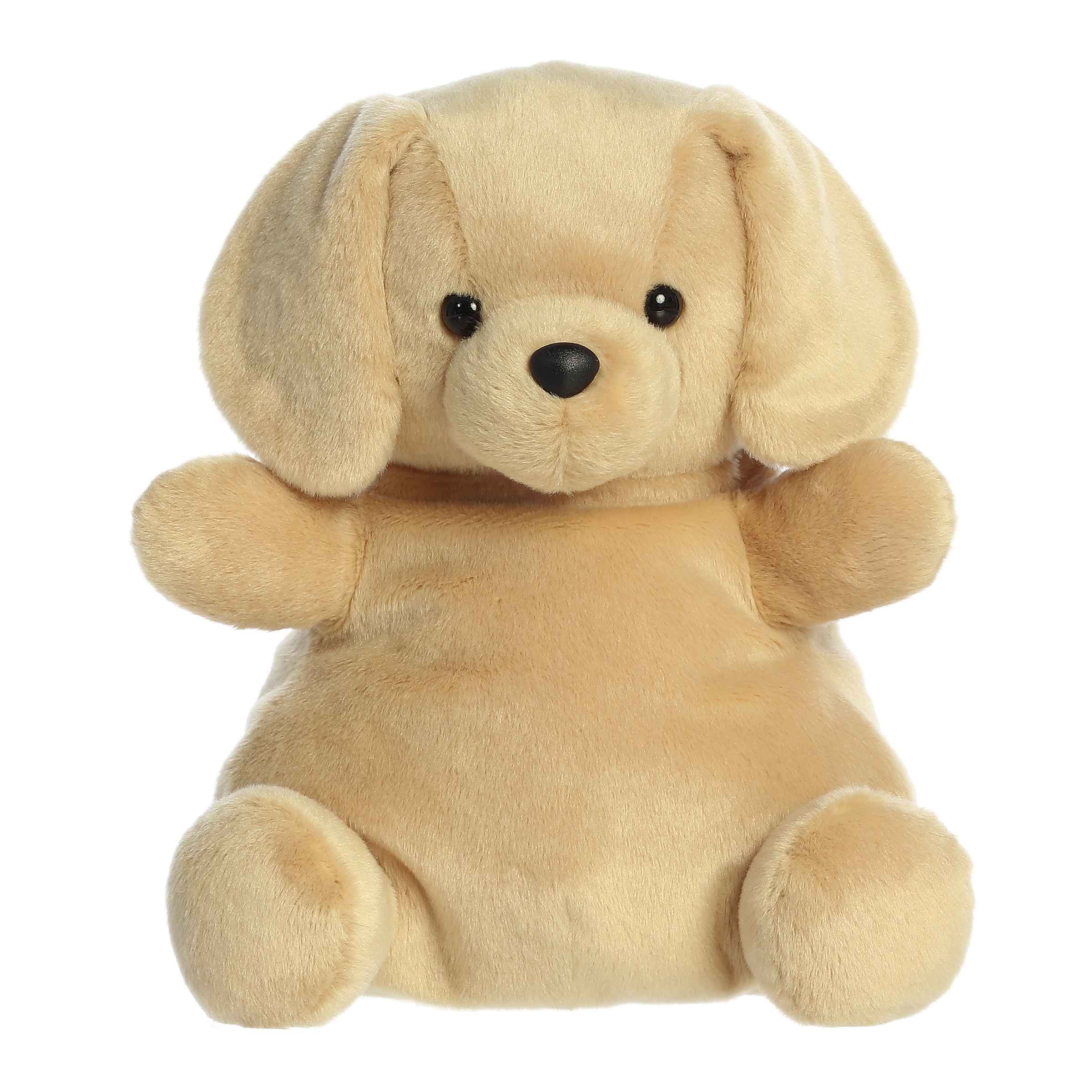 13" Sunny Labâ¢