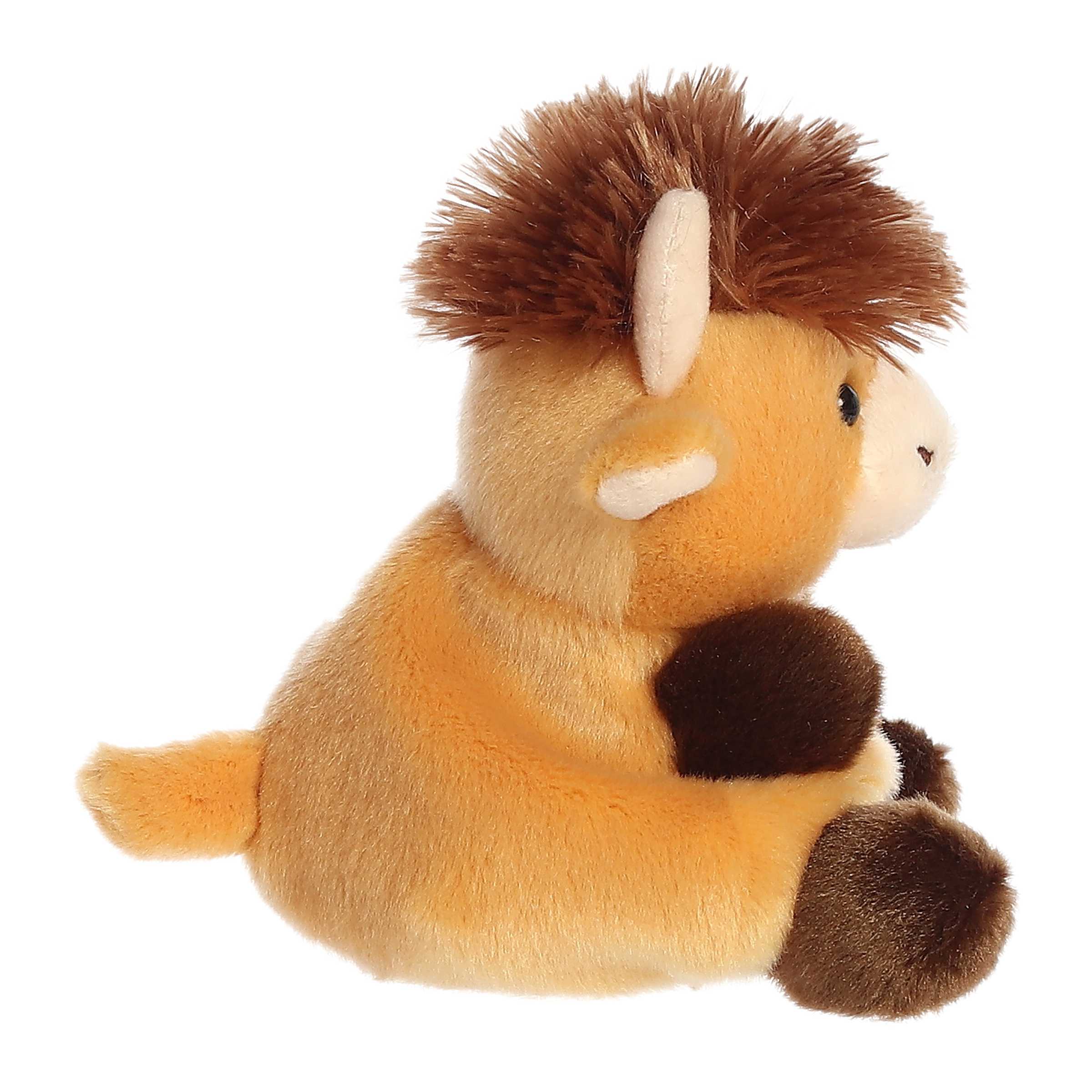 28-hubert-highland-cow–1.jpg