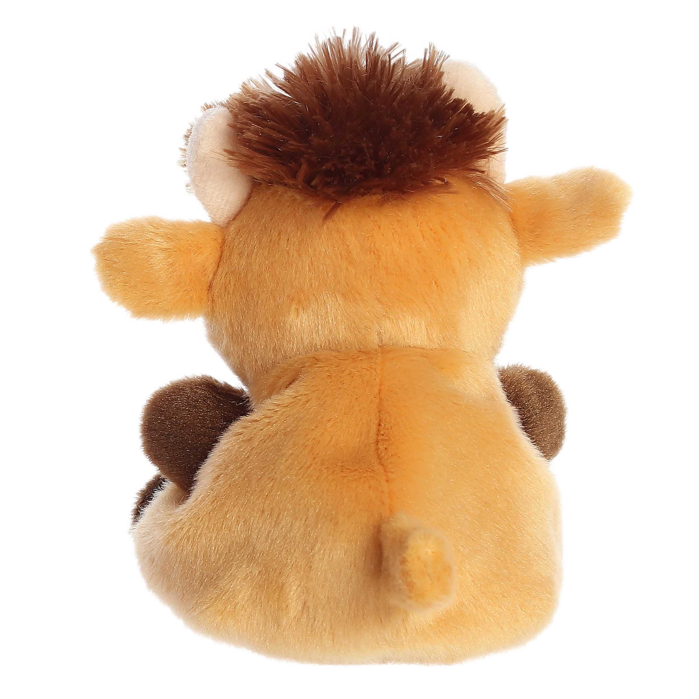 28-hubert-highland-cow–1.jpg