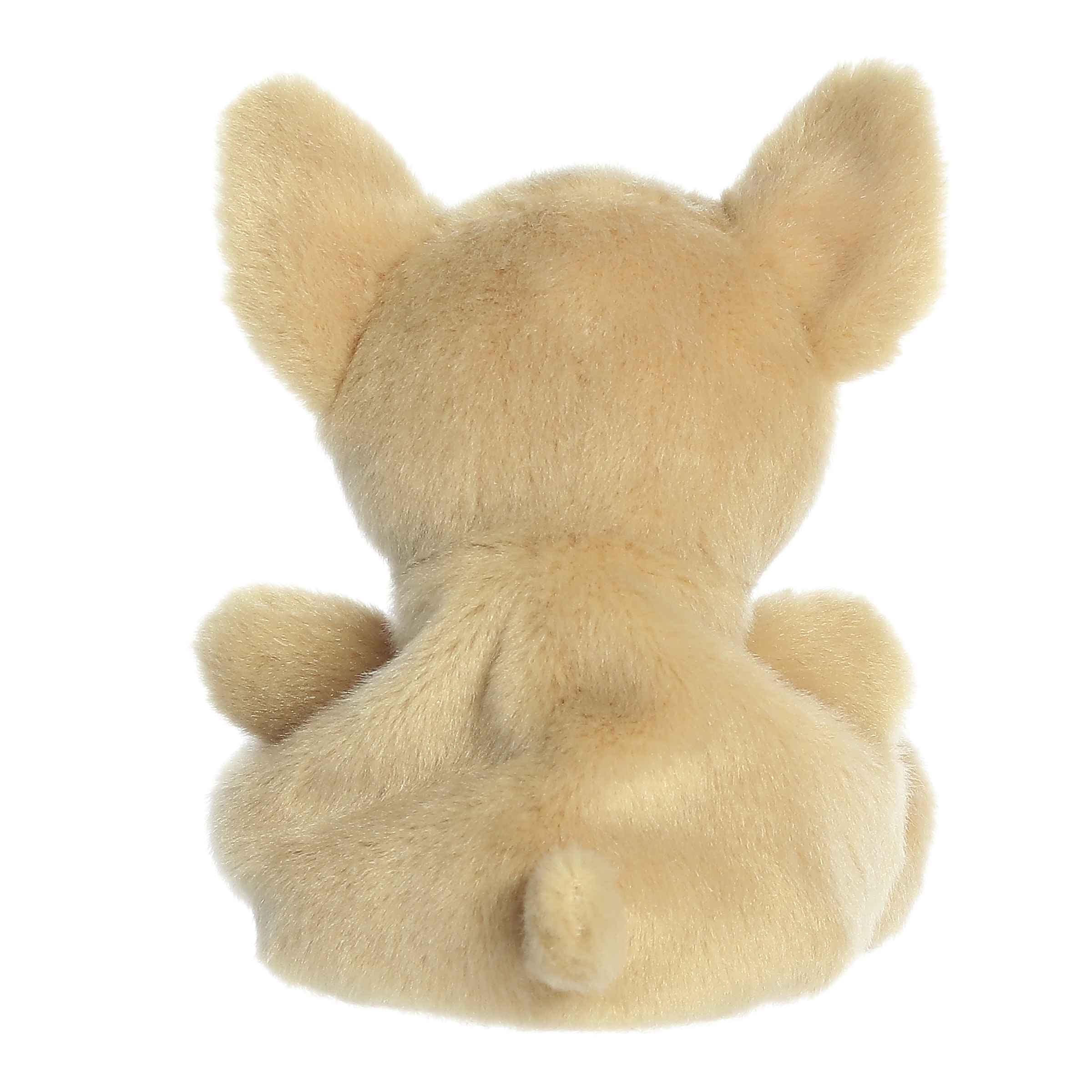 303-cookie-chihuahua–1.jpg