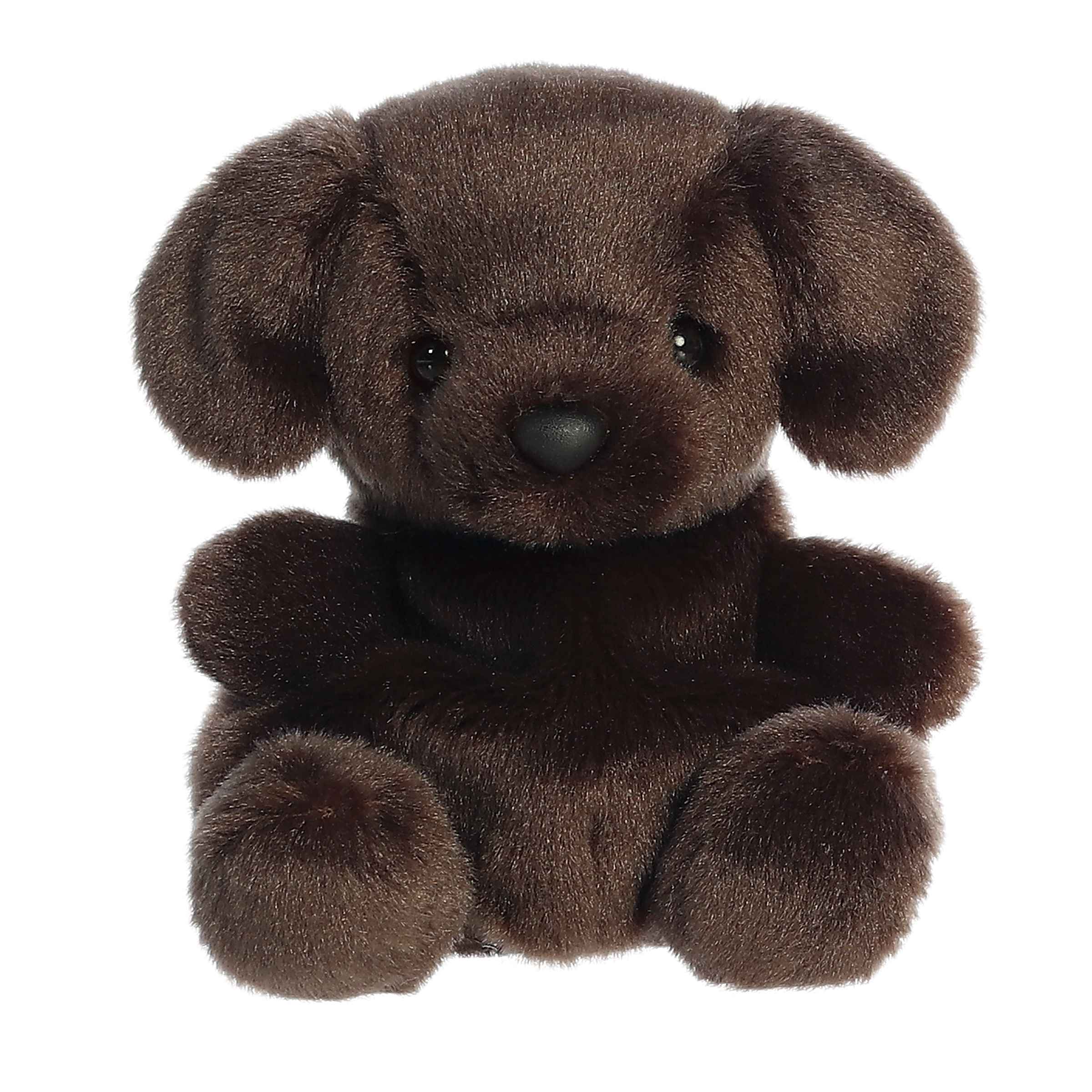Sienna Chocolate Labâ¢