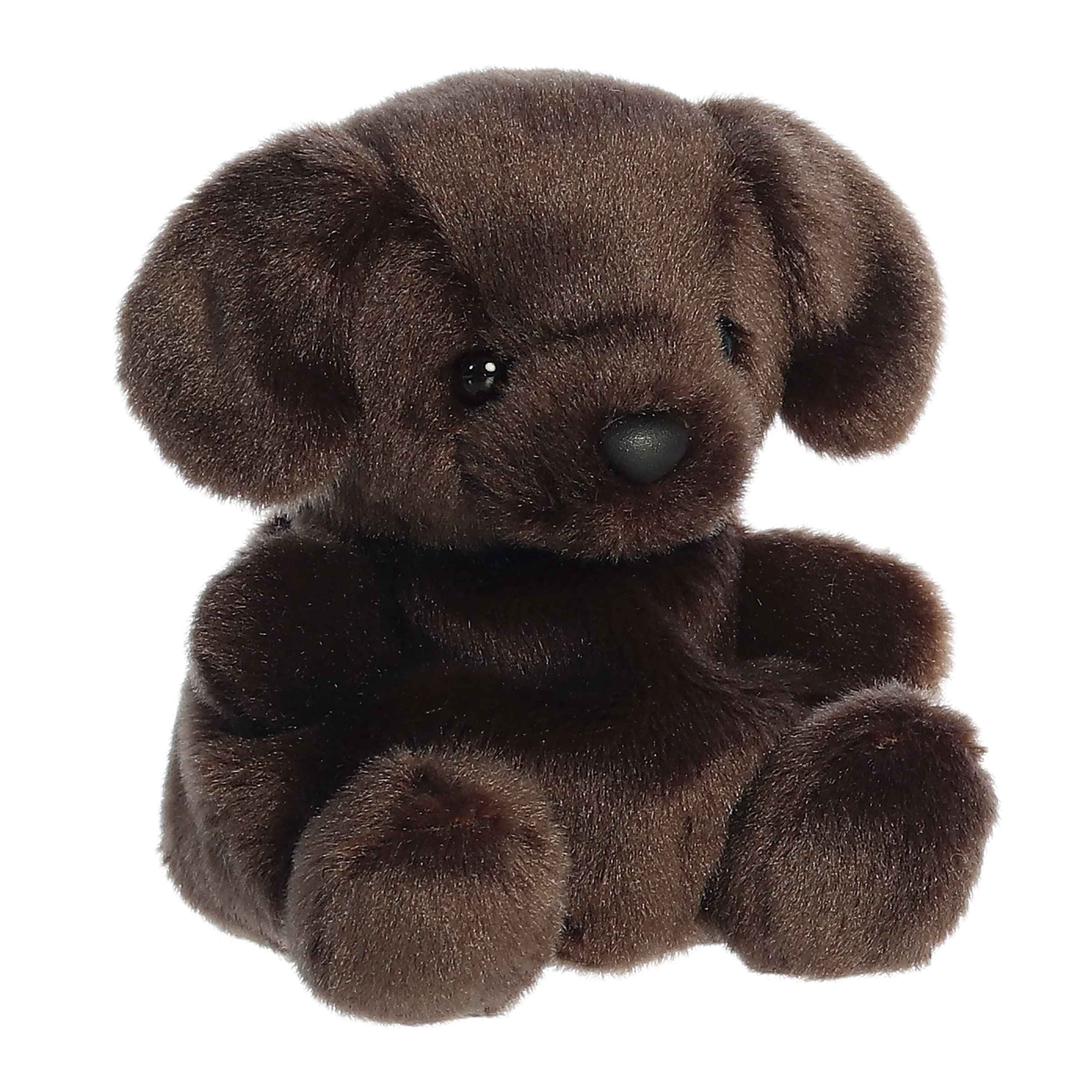 Sienna Chocolate Labâ¢