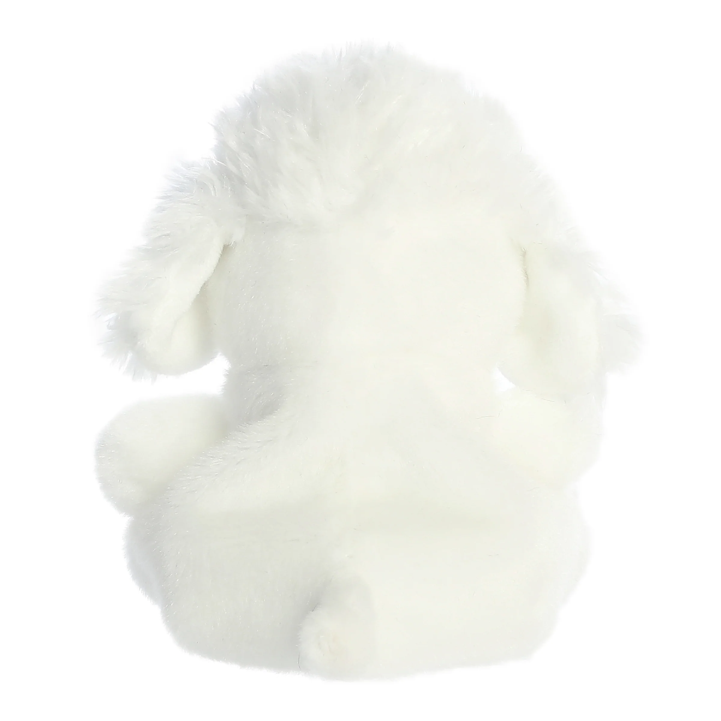 332-lulu-poodle–1.webp