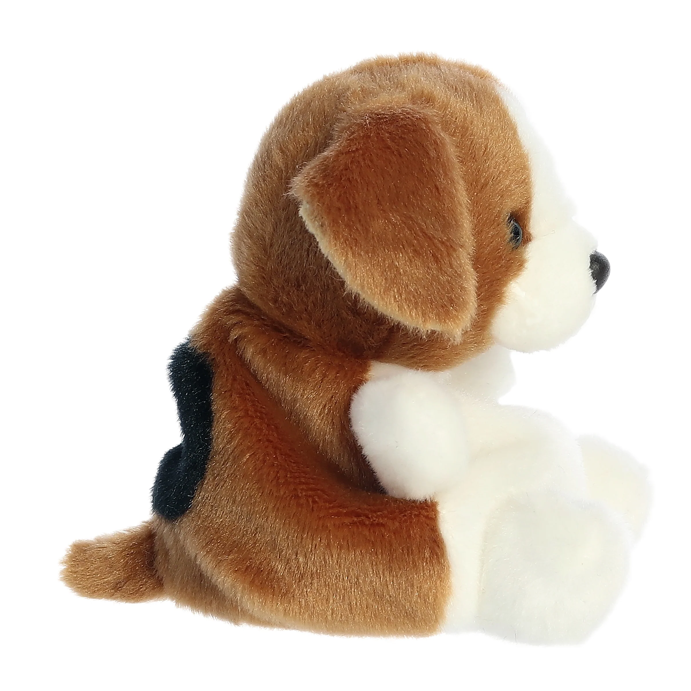 333-buster-beagle–1.webp