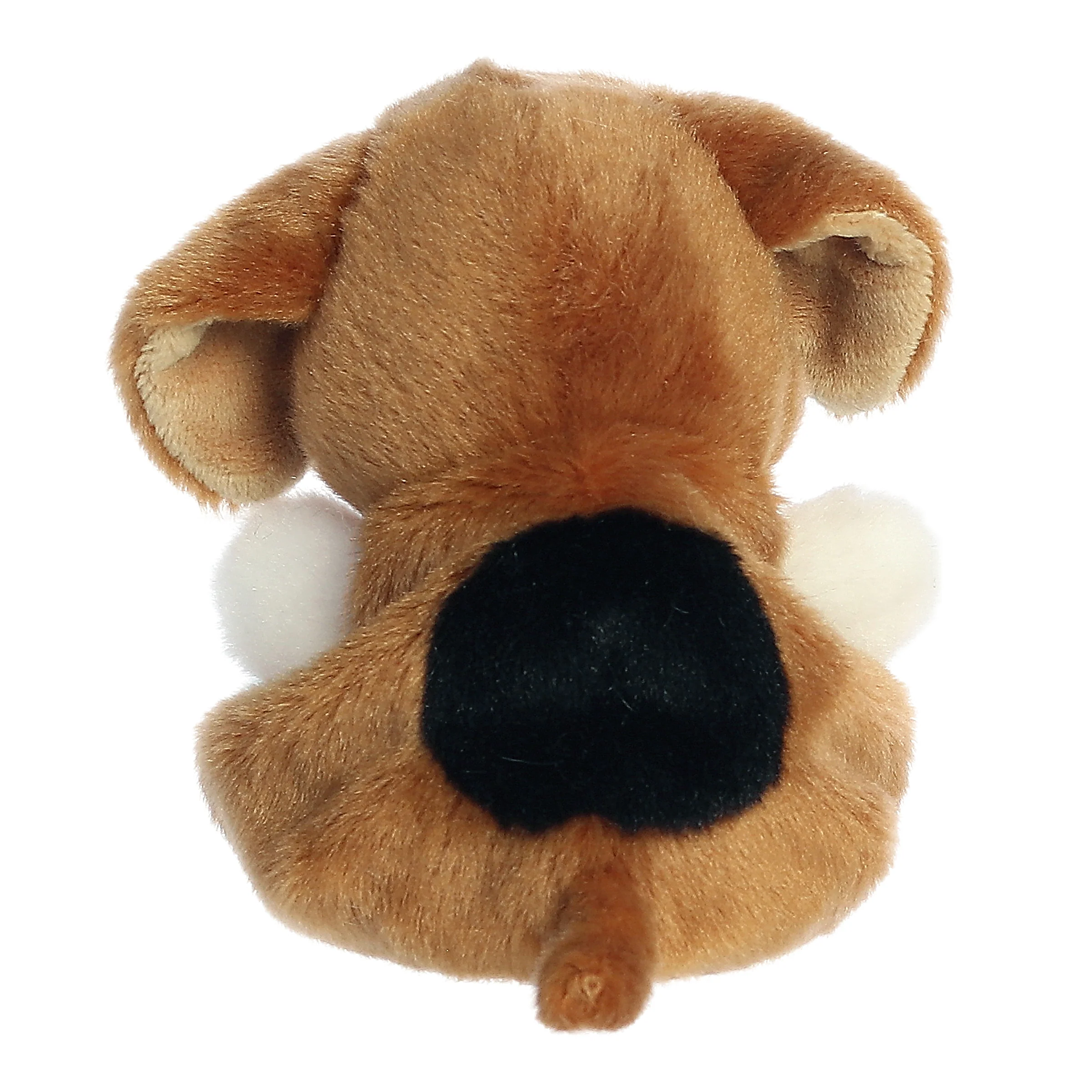 333-buster-beagle–1.webp