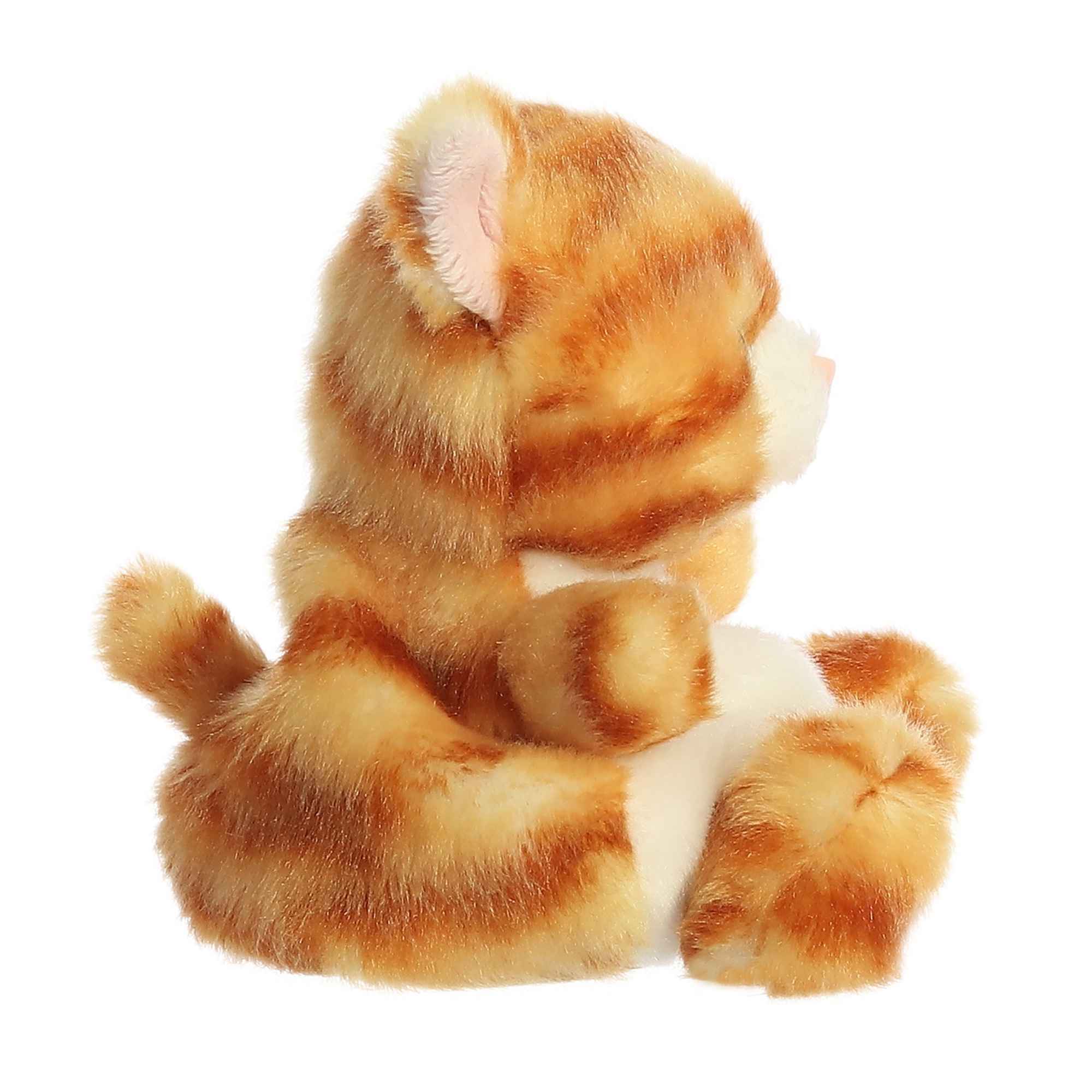 392-meow-kitty–1.jpg