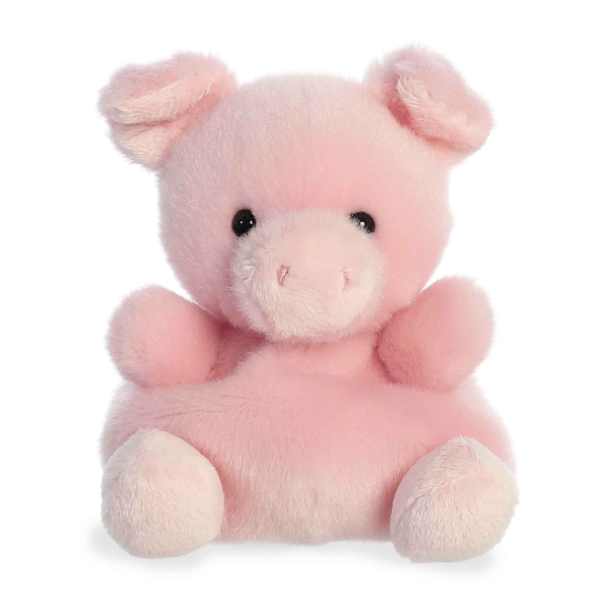 Wizard Pigâ¢