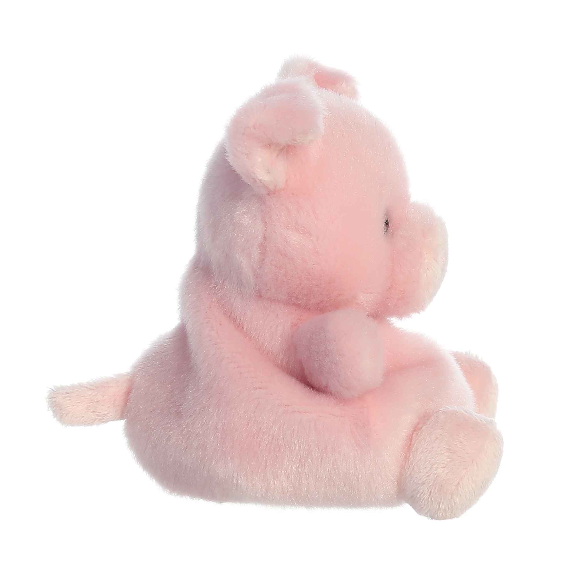 40-wizard-pig–1.jpg