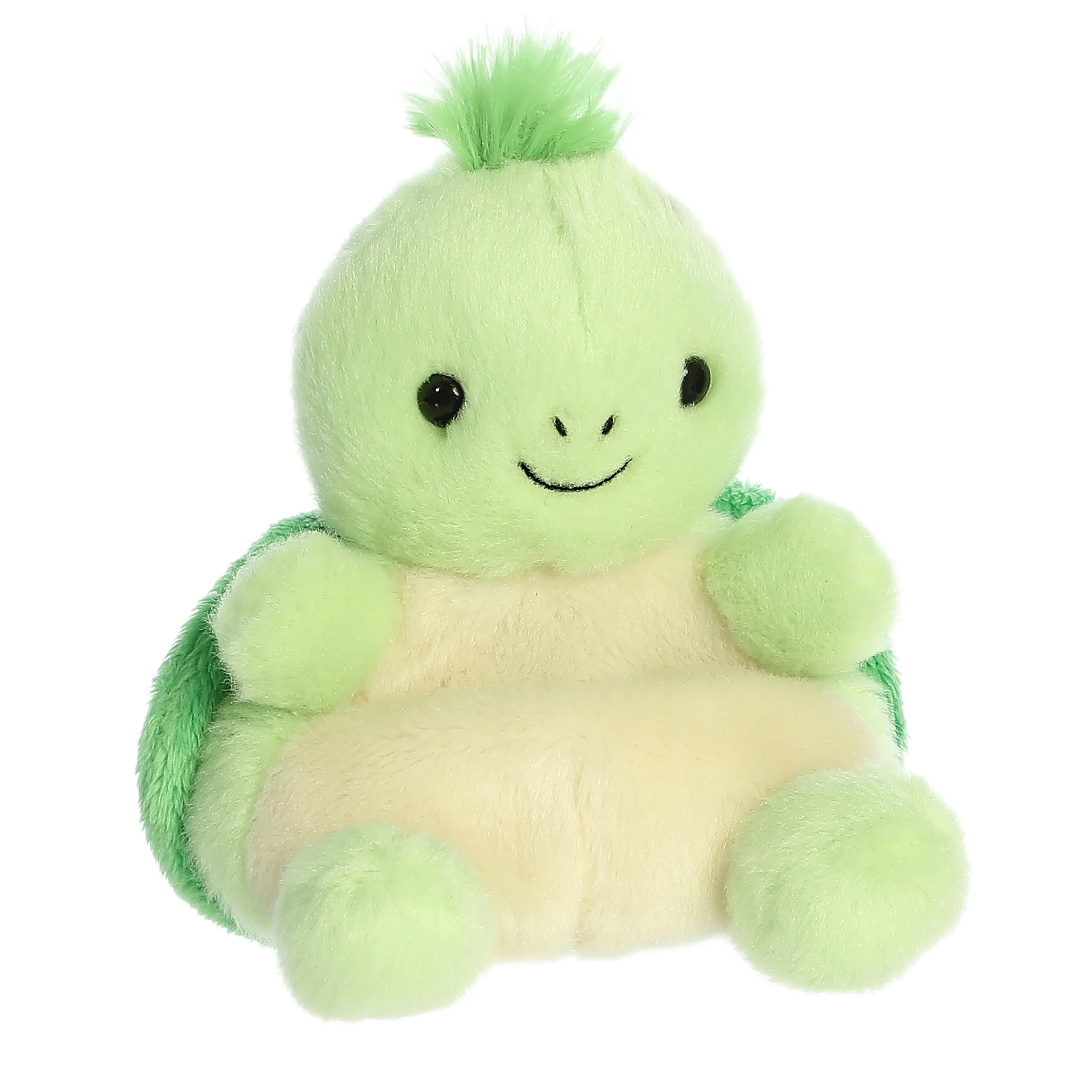 401-tiny-turtle–1.webp