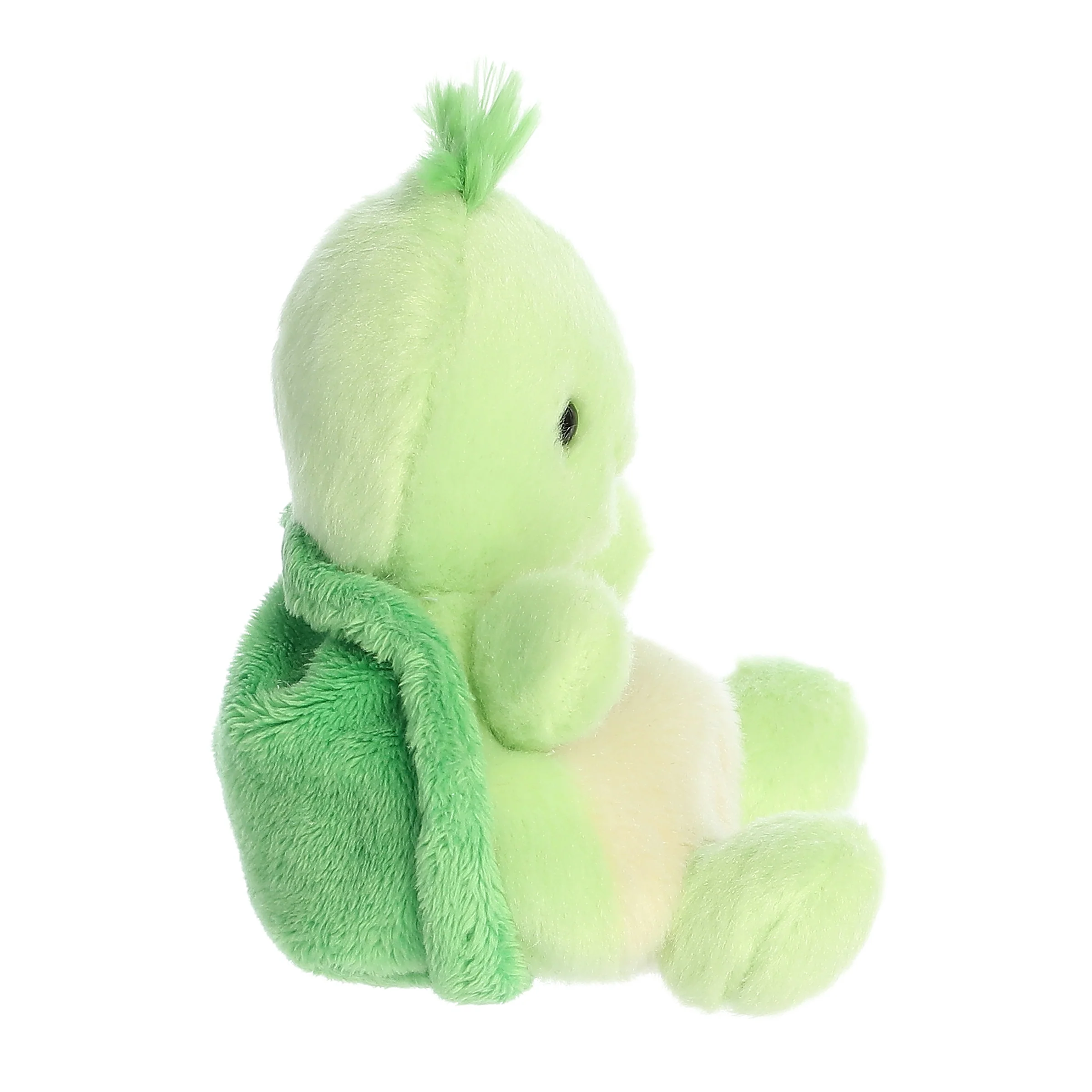 401-tiny-turtle–1.webp
