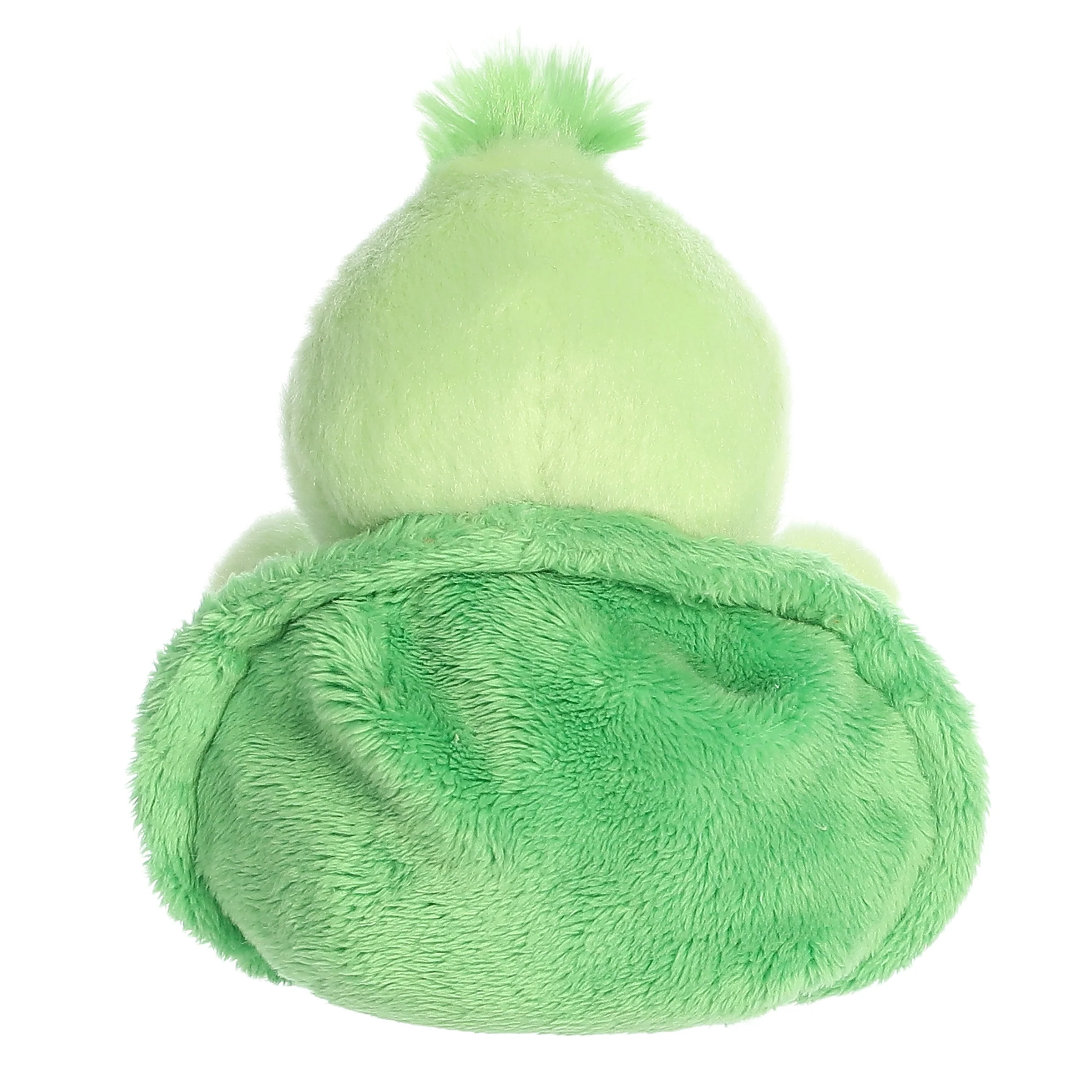 401-tiny-turtle–1.webp