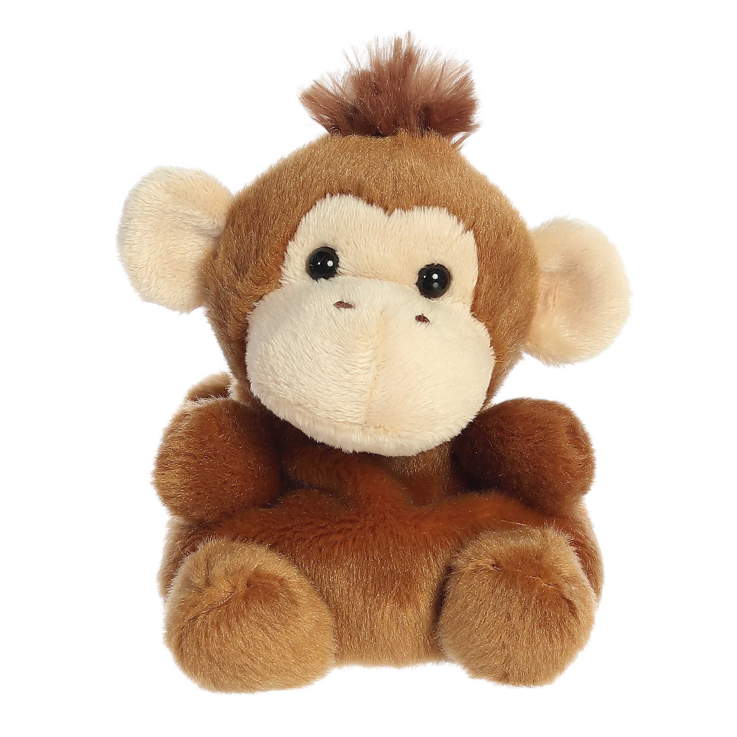 Boomer Monkeyâ¢