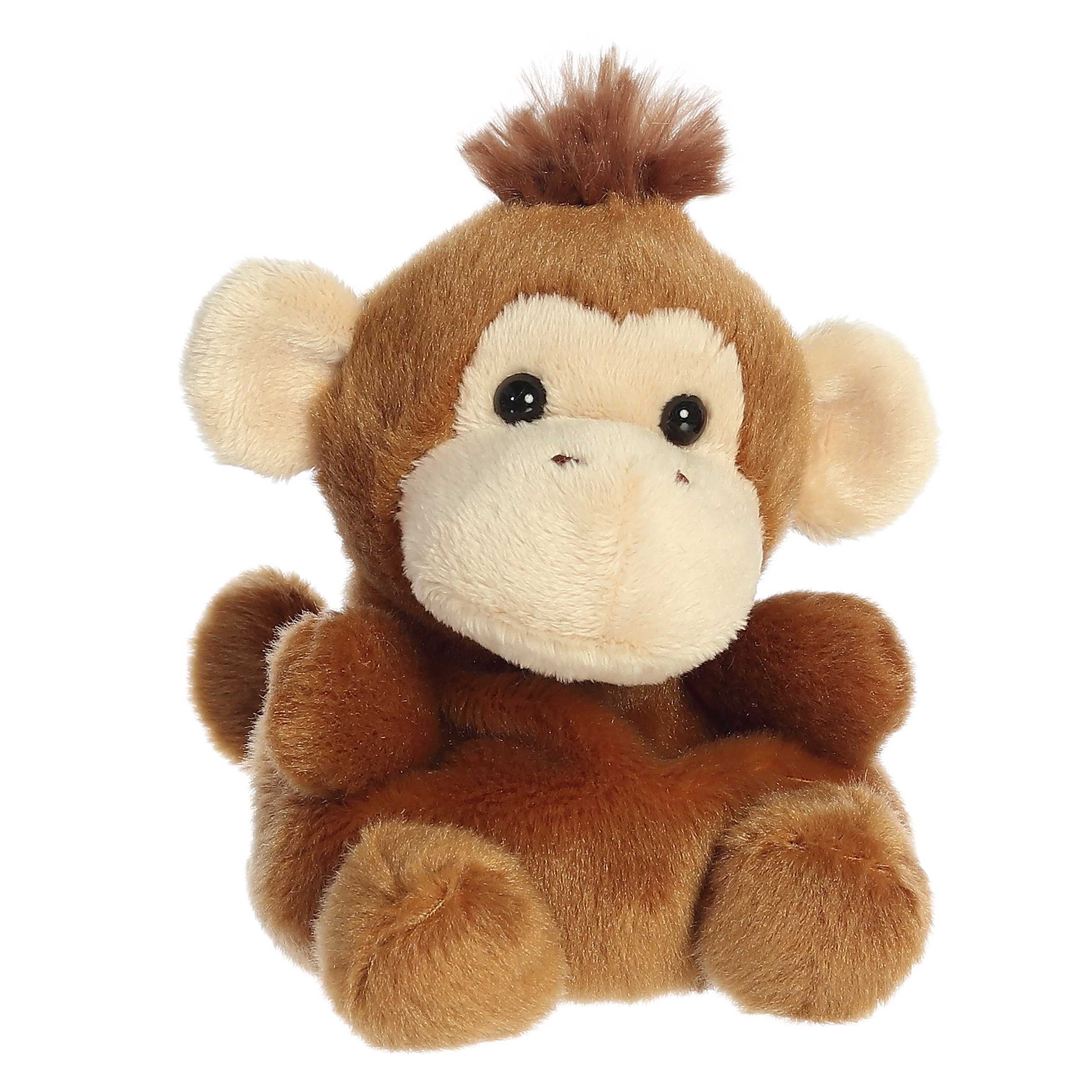 Boomer Monkeyâ¢